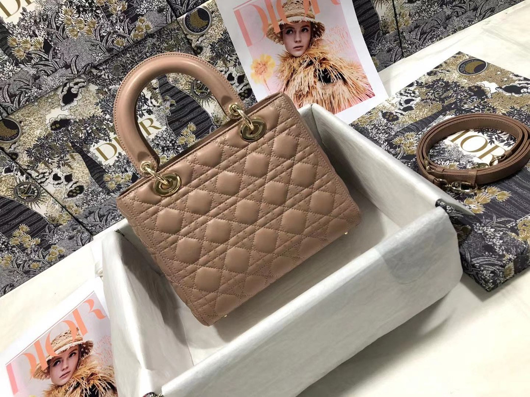 Medium Lady Dior Bag