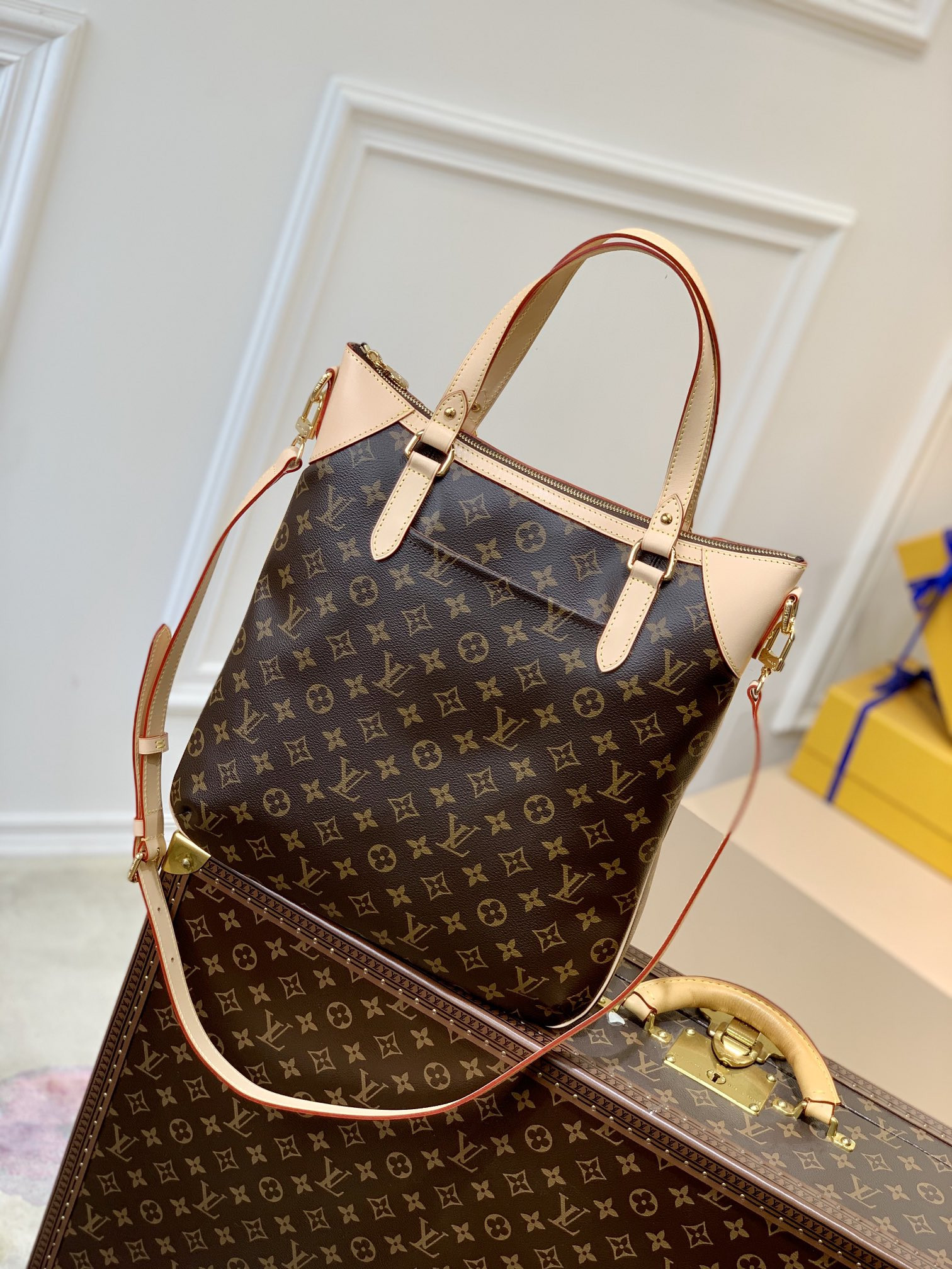 Louis Vuitton Odéon Bag