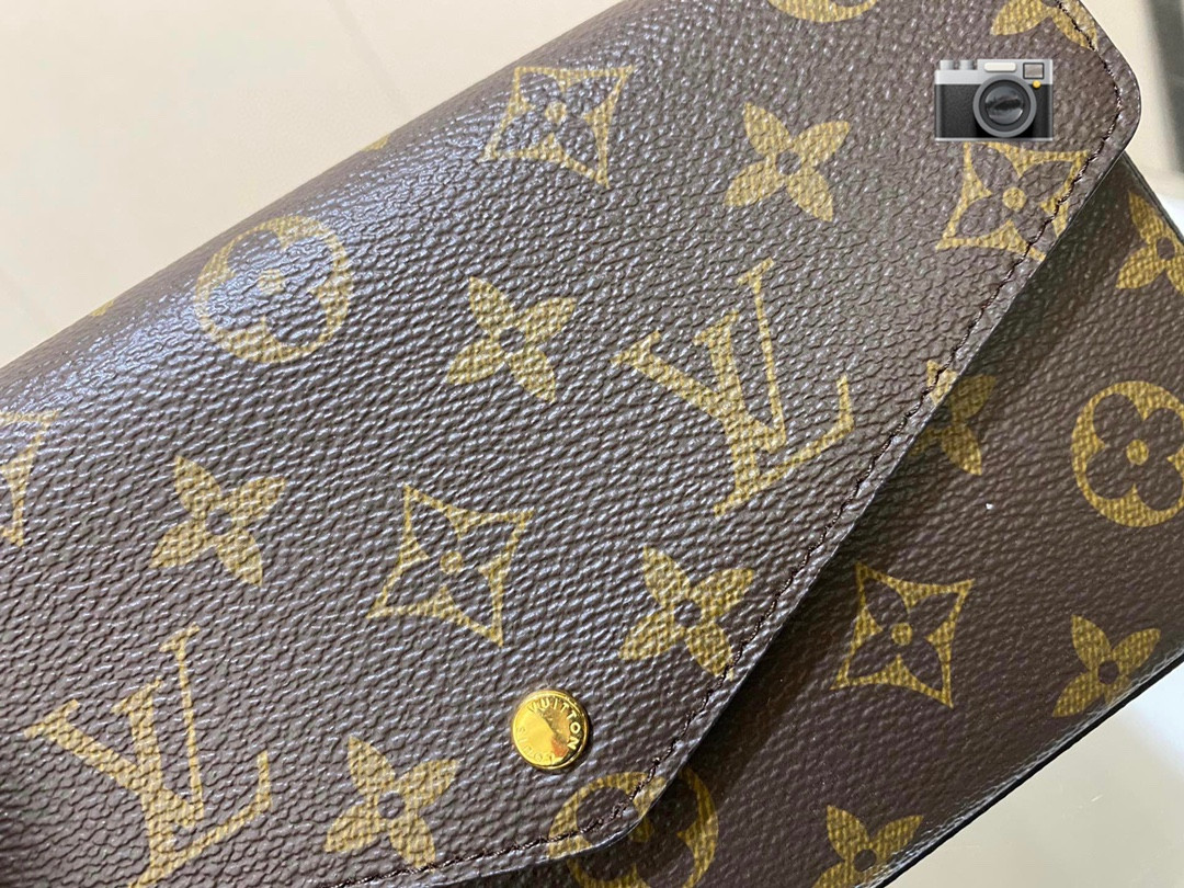 Lv Pochette Félicie Bag
