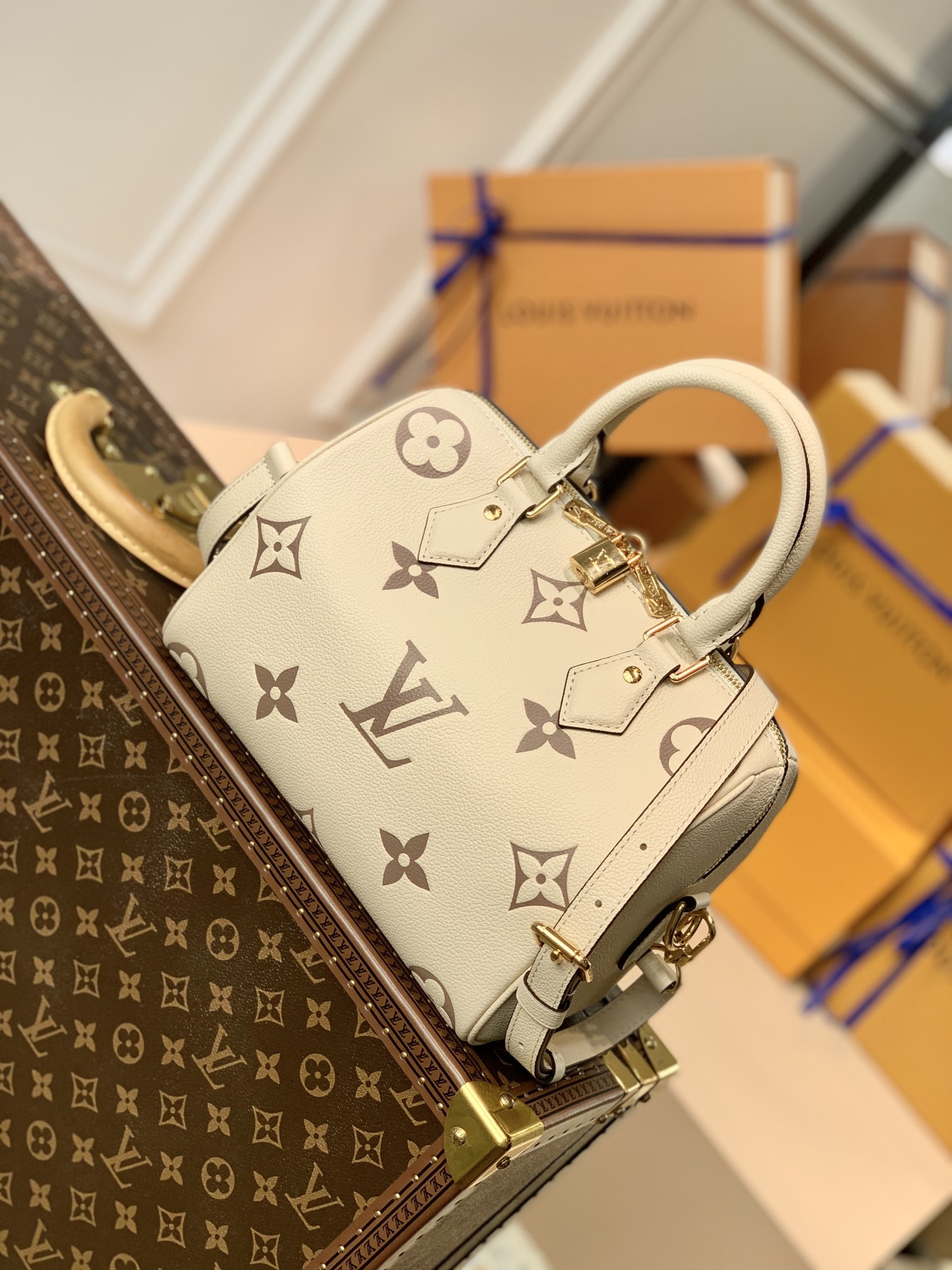 Louis Vuitton Speedy Bandoulière 25 Bag