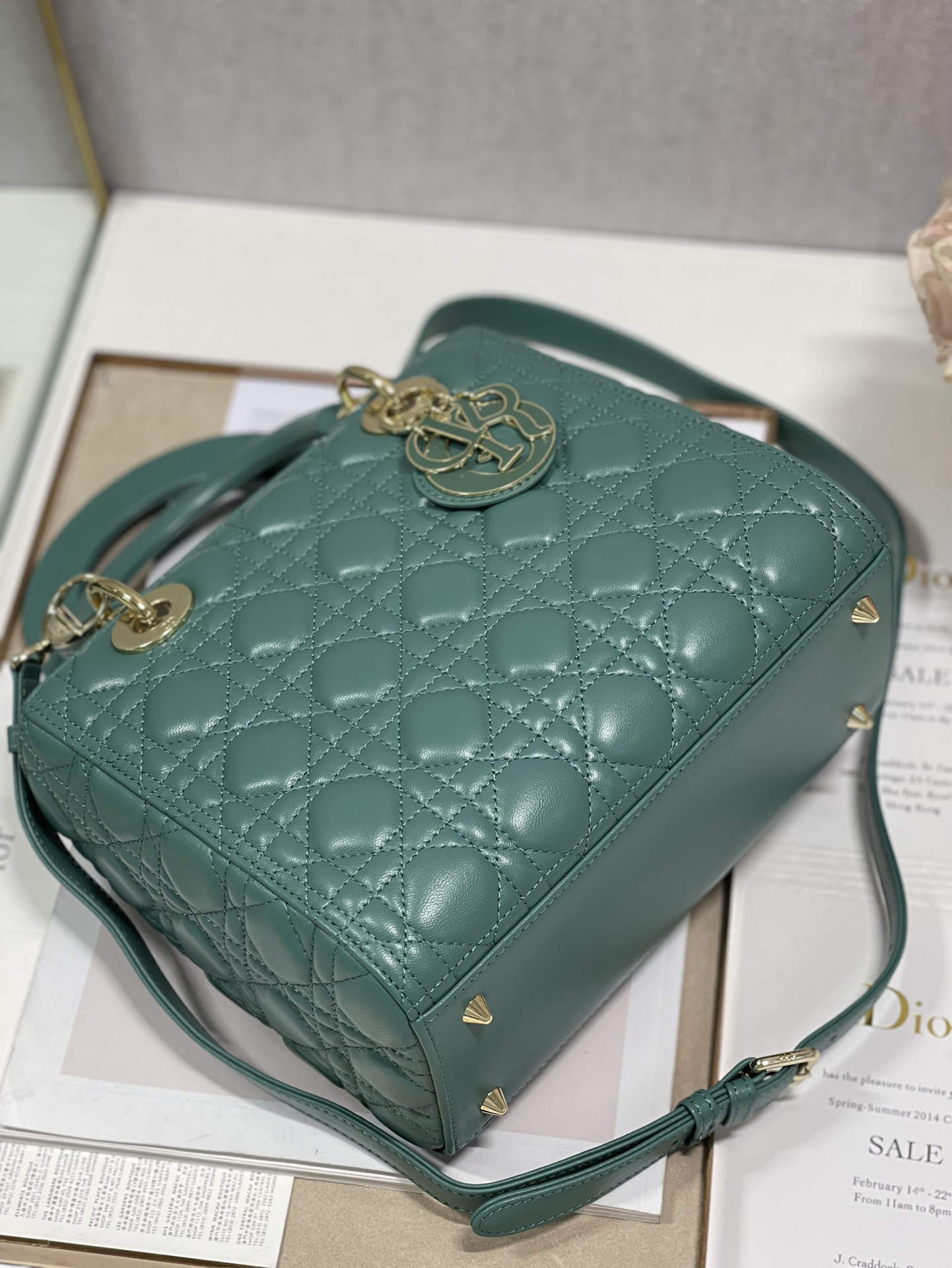 Medium Lady Dior Bag