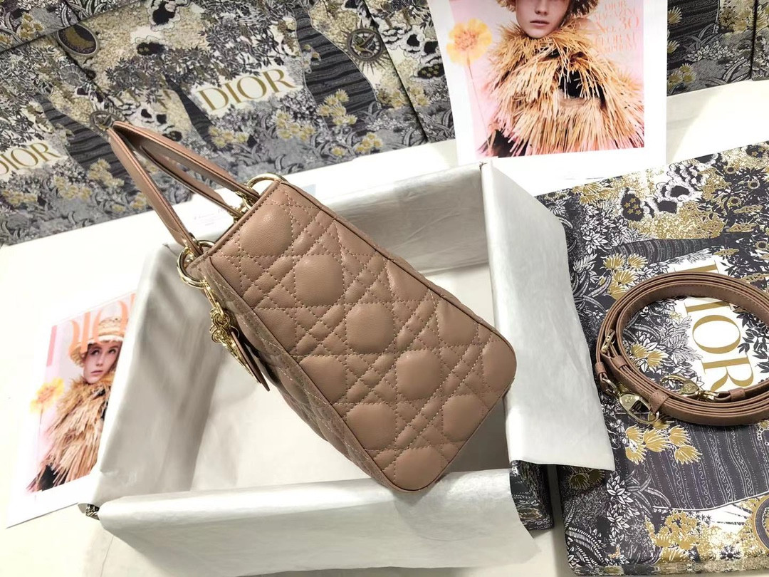 Medium Lady Dior Bag