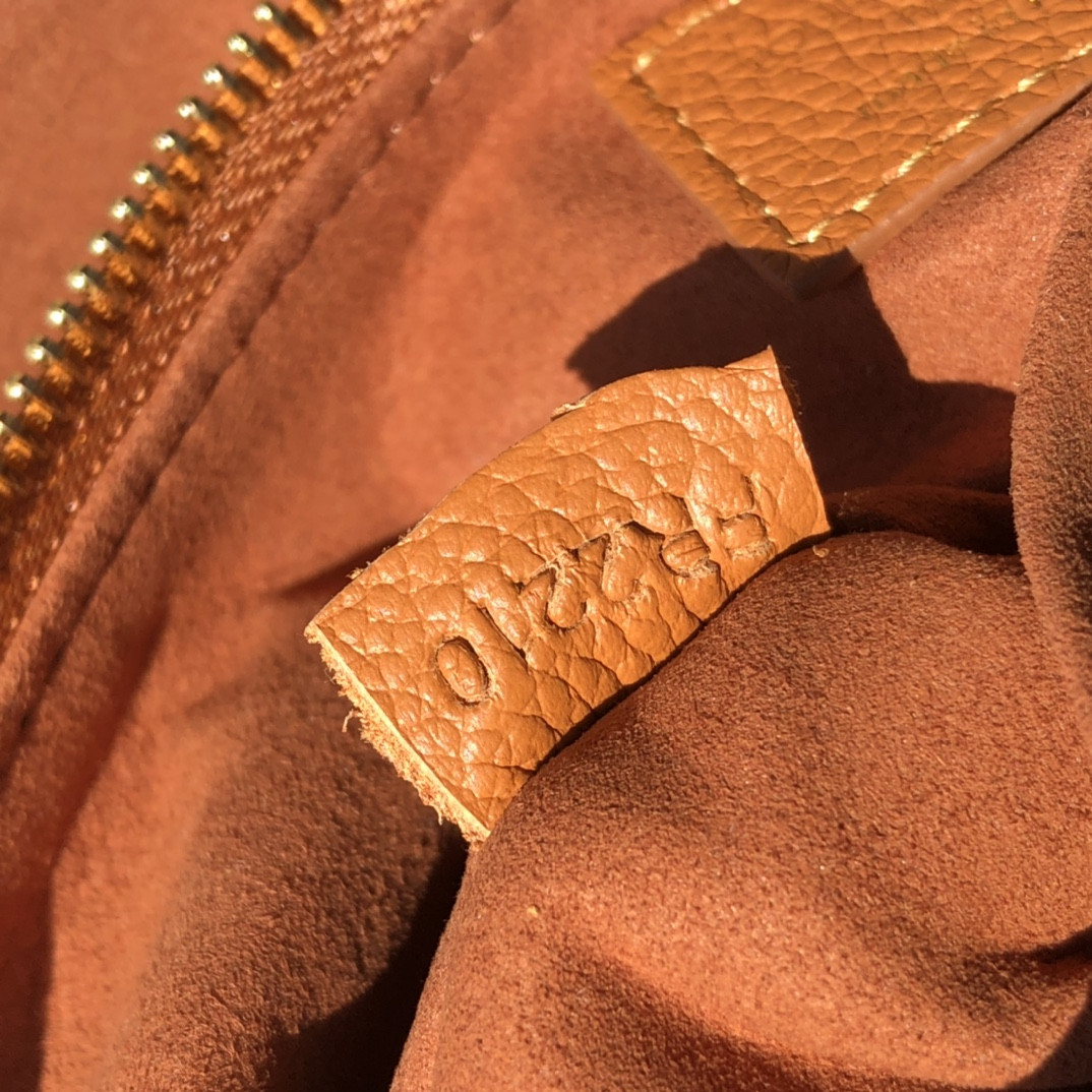 Louis Vuitton Surene Bag