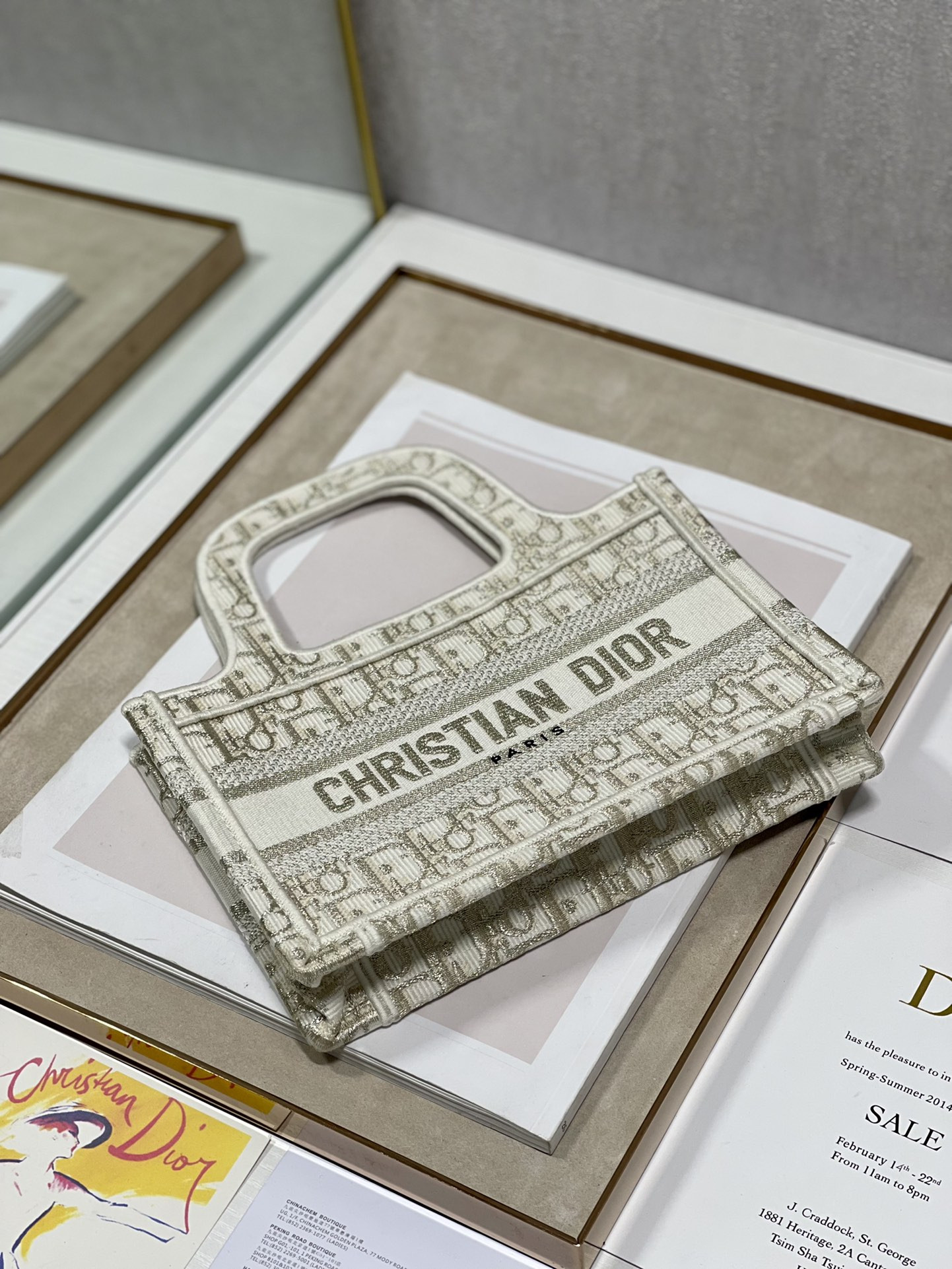 Mini Dior Book Tote
