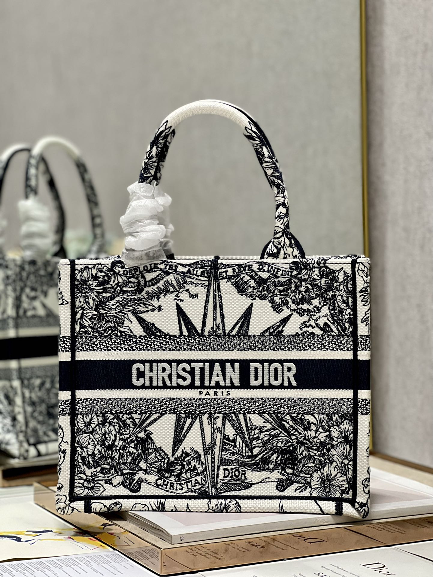 Small Dior Book Tote