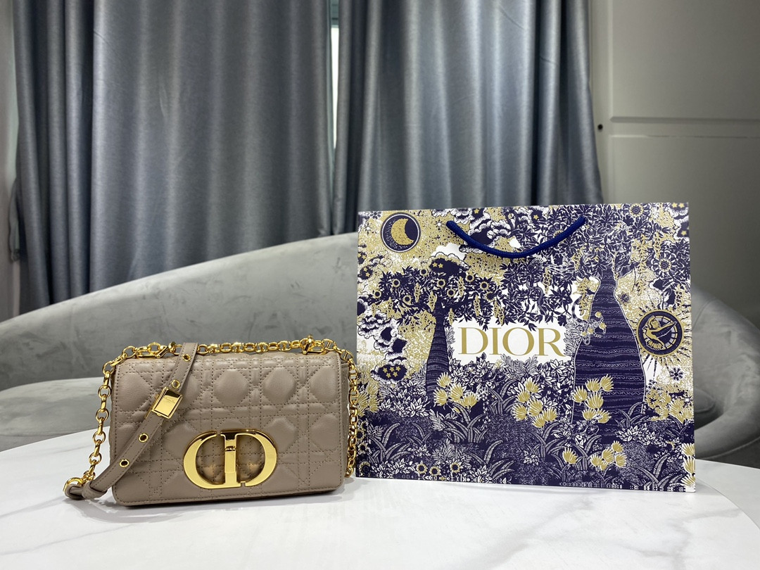 Small Dior Caro Bag
