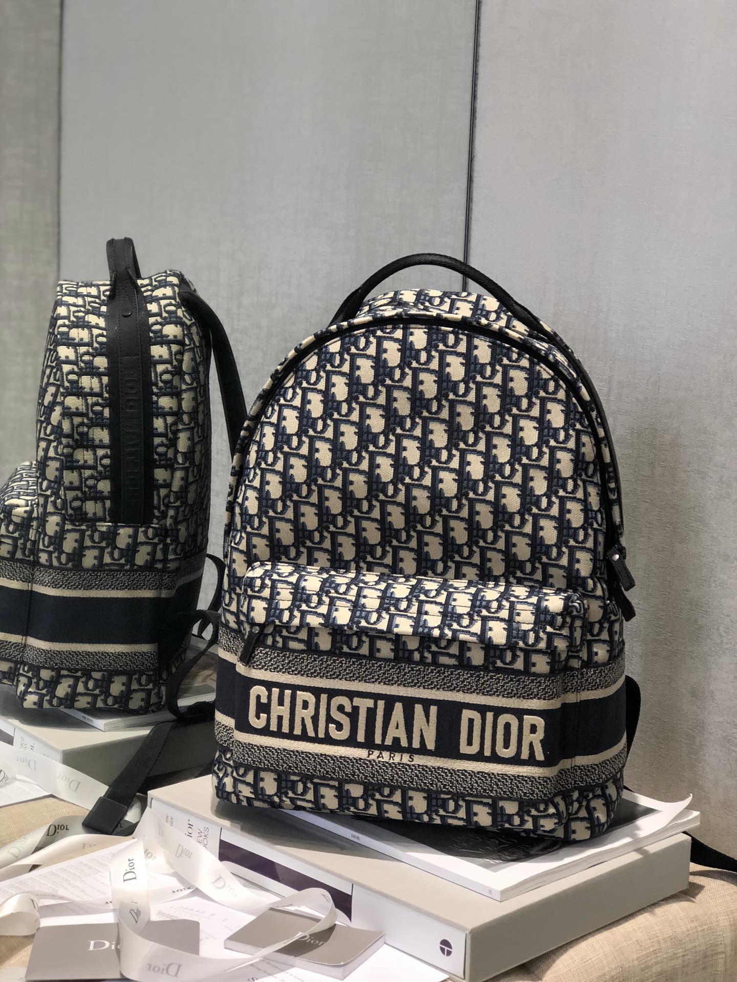 Dior Backpack