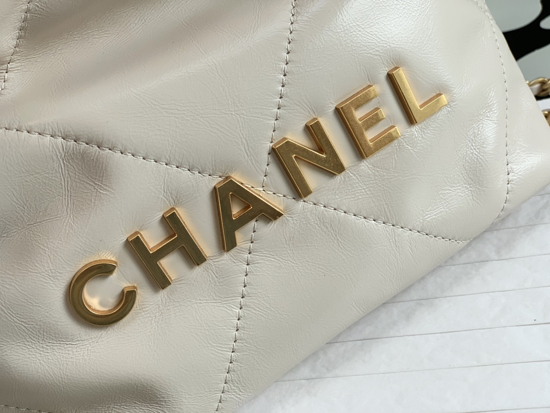 Chanle 22 Backpack Mini