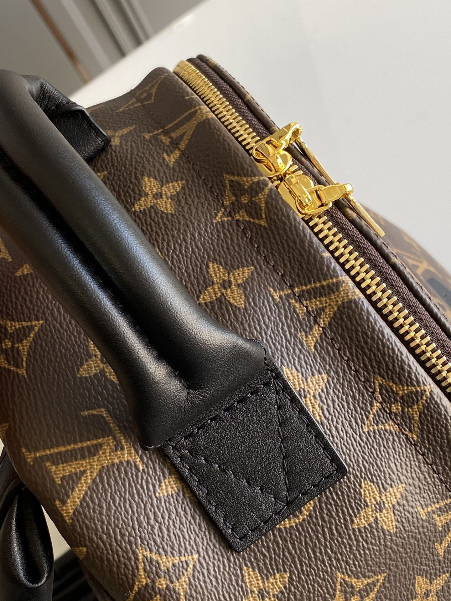 Louis Vuitton Palm Springs Bag