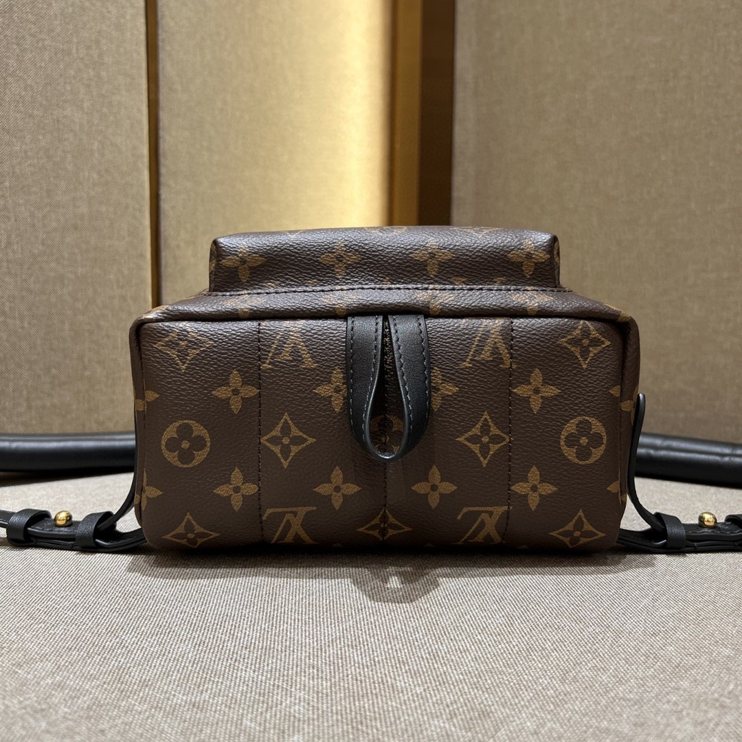 Louis Vuitton Palm Springs Bag