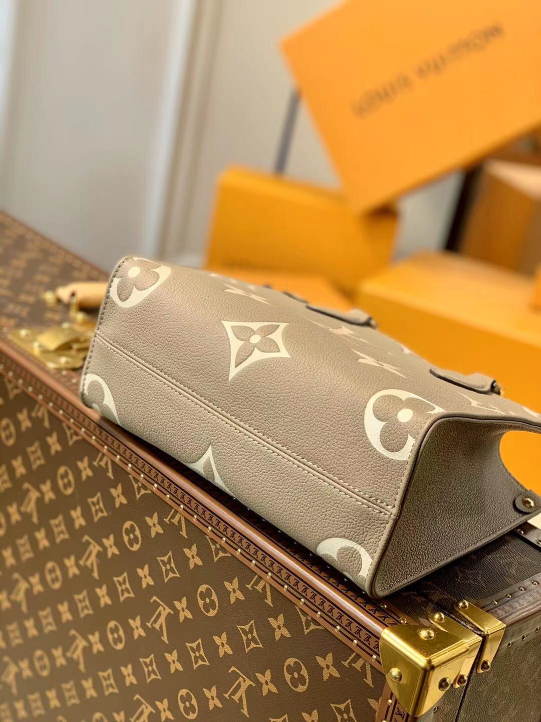 Louis Vuitton Onthego Bag