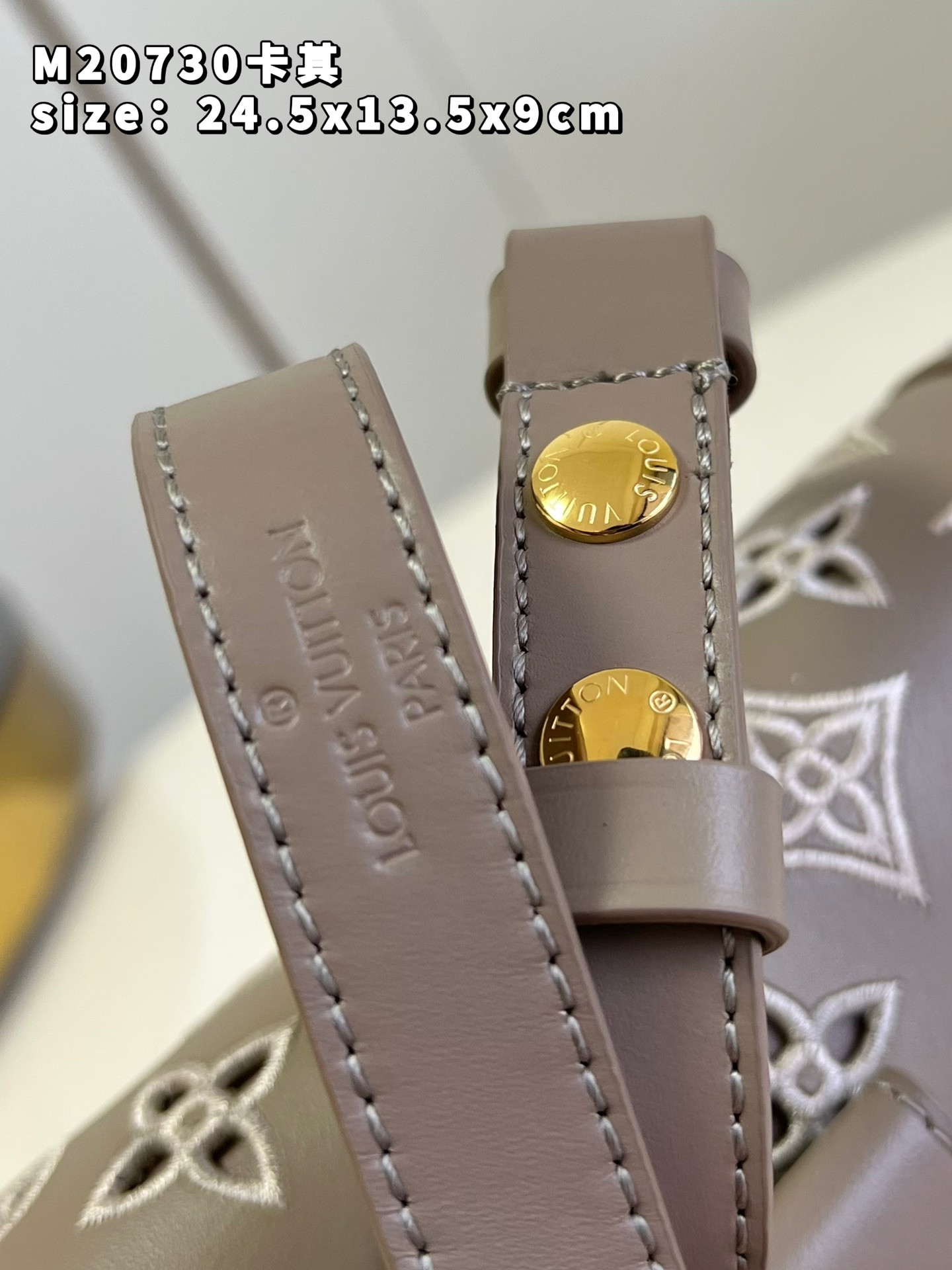 Louis Vuitton Dauphine Bag