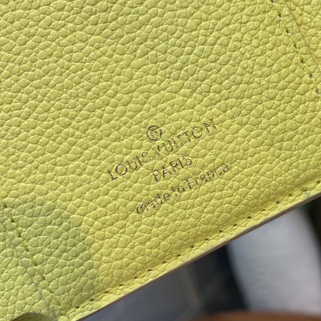 Louis Vuitton Victorine Bag