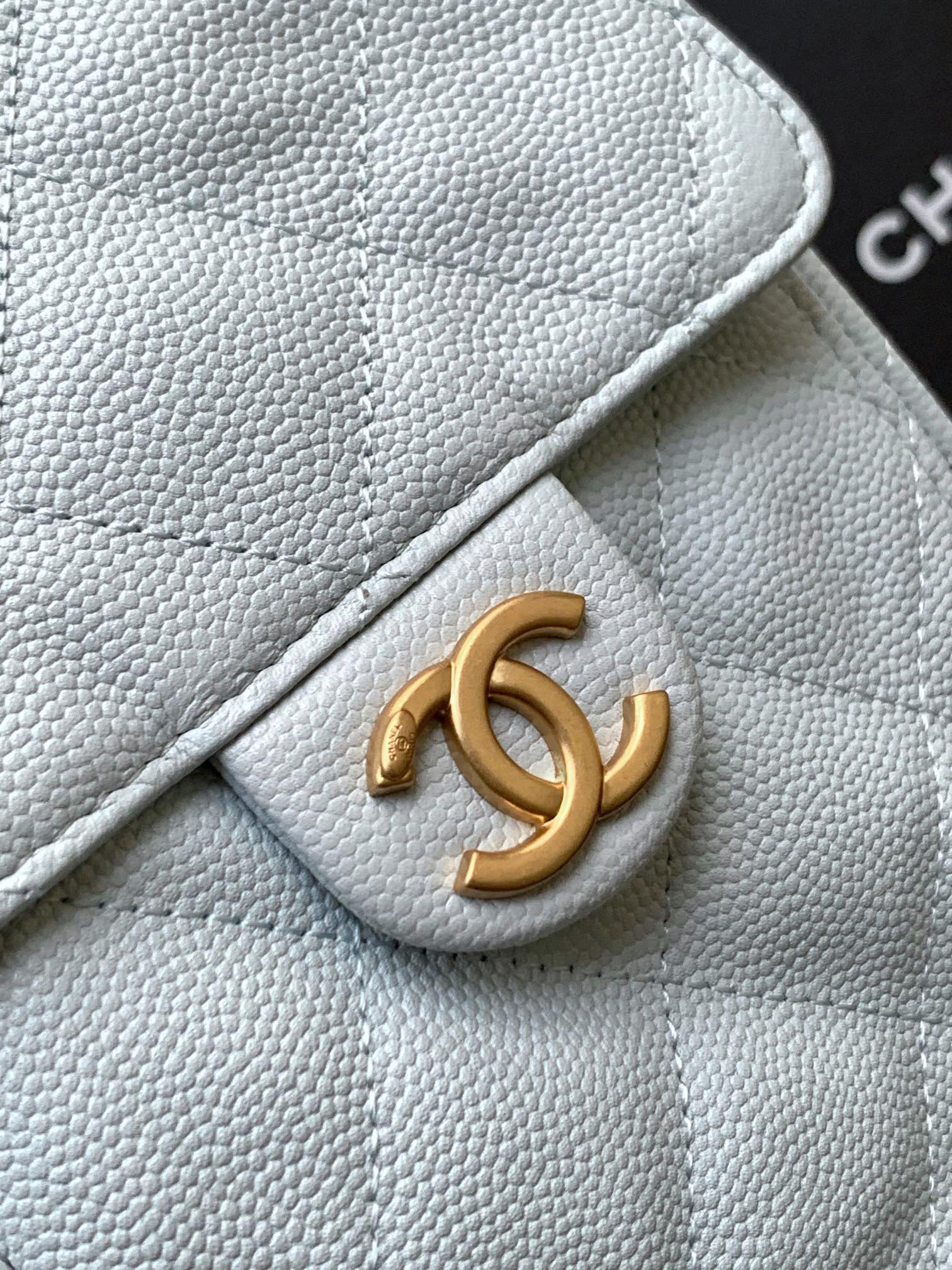 Chanel 25s Hobo Bag