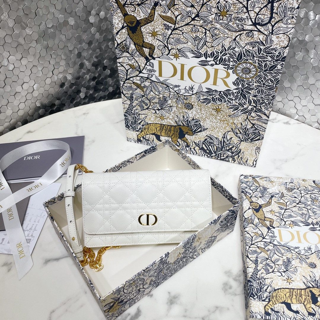 Dior Caro Pouch