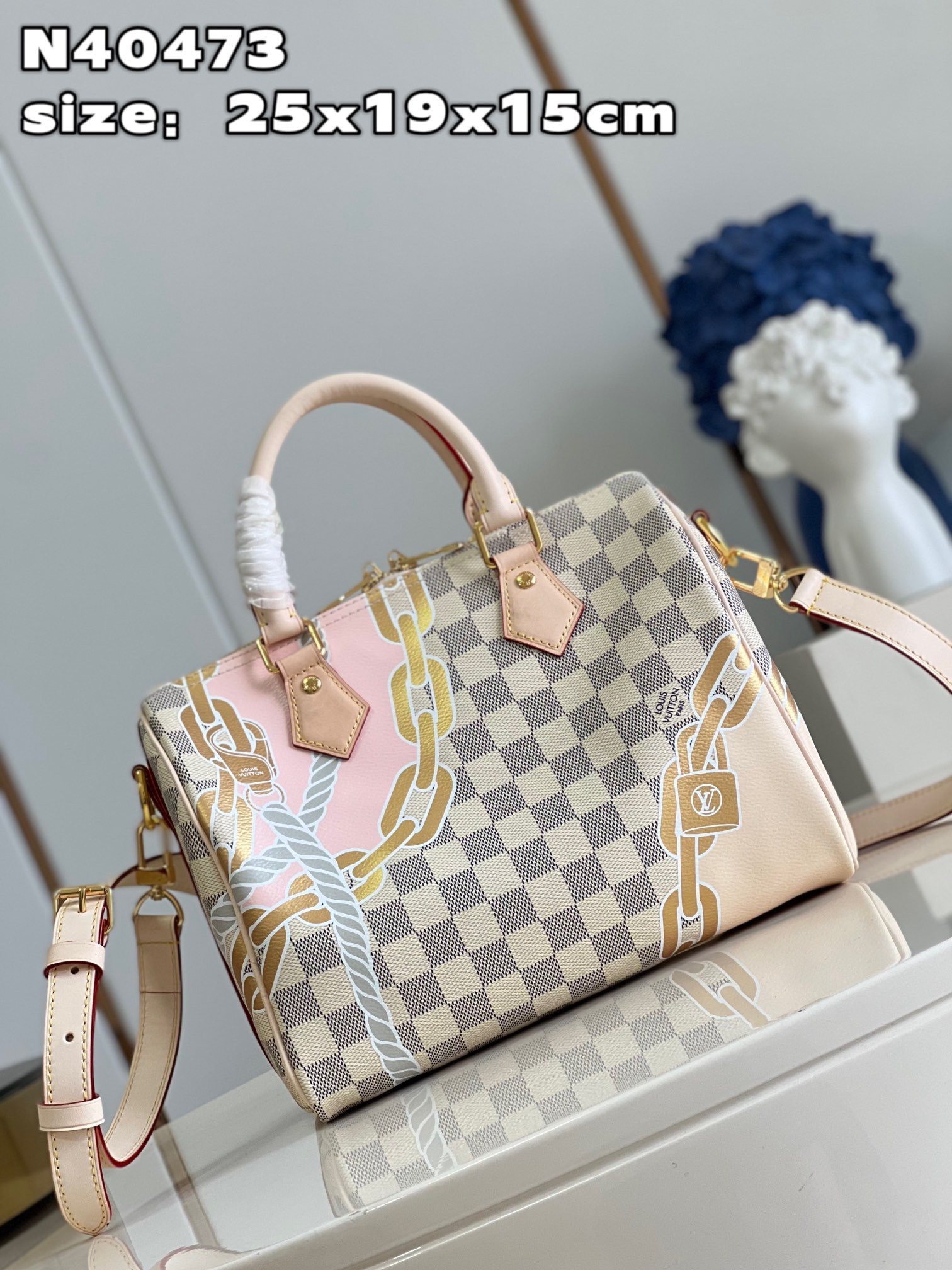 Louis Vuitton Speedy Bandoulière 25 Bag