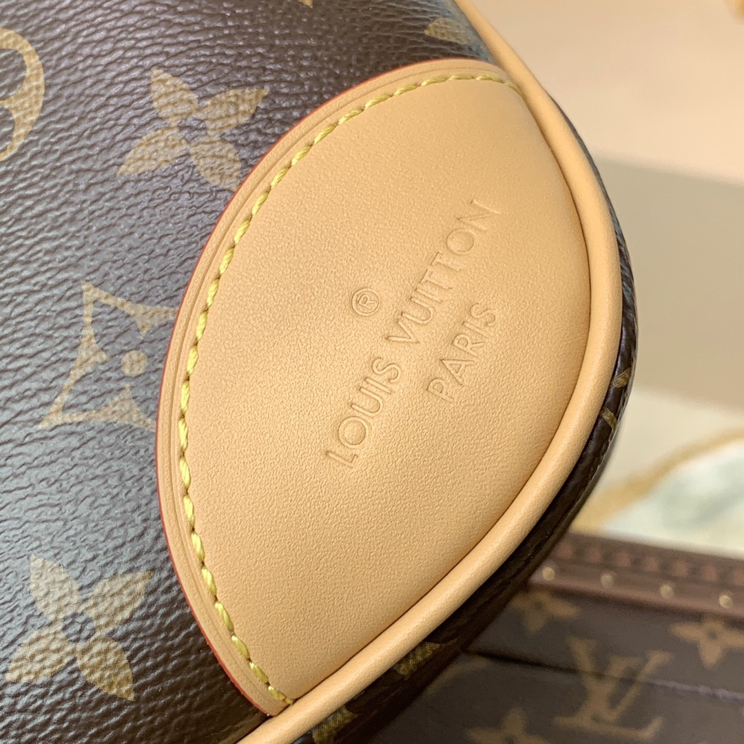 Louis Vuitton Odéon Bag