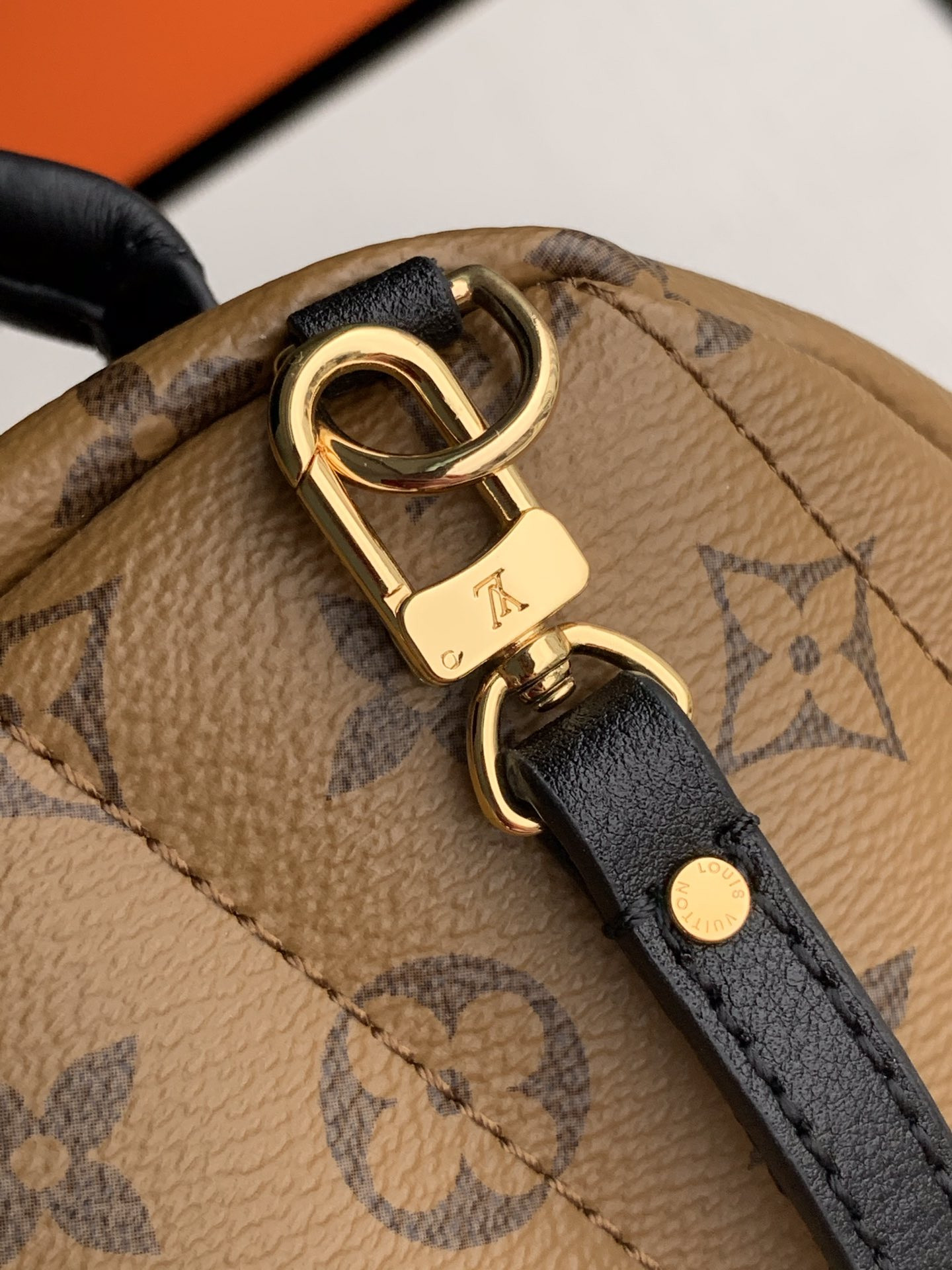 Louis Vuitton Palm Springs Bag