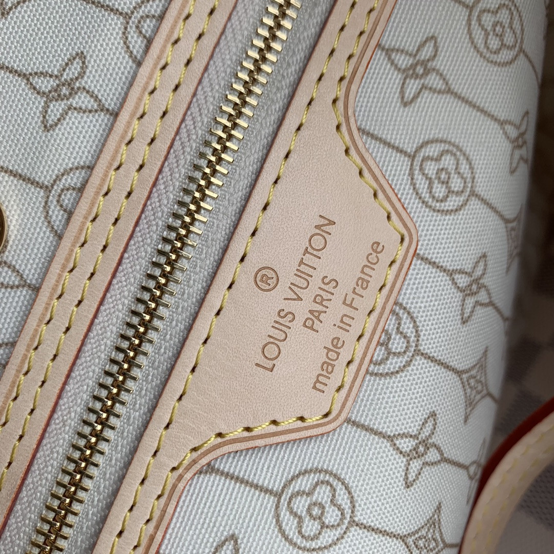 Louis Vuitton Neverfull Bag