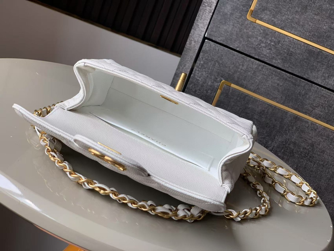 Chanel 25p Classic Double Flap Bag