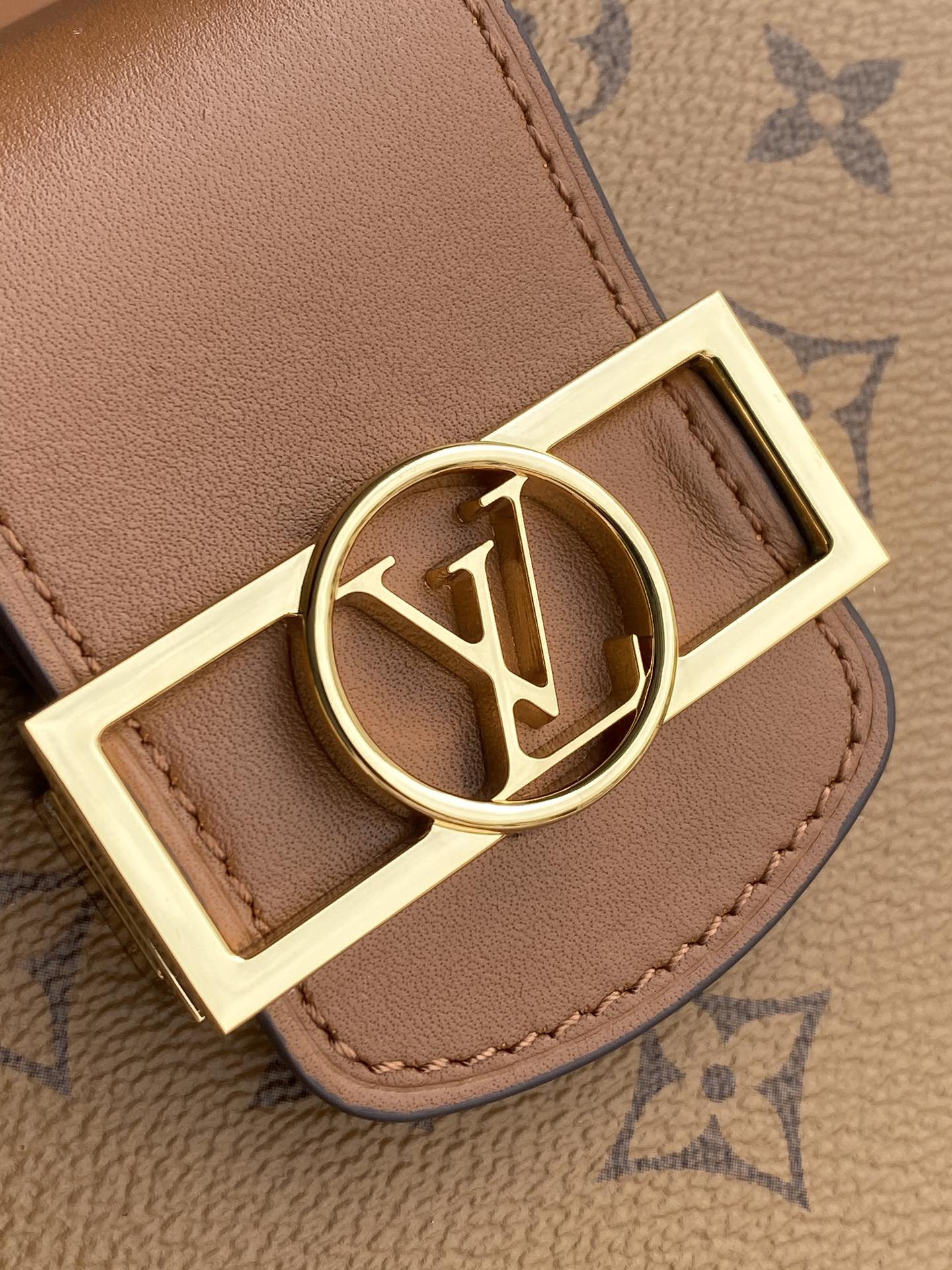 Louis Vuitton Dauphine Bag