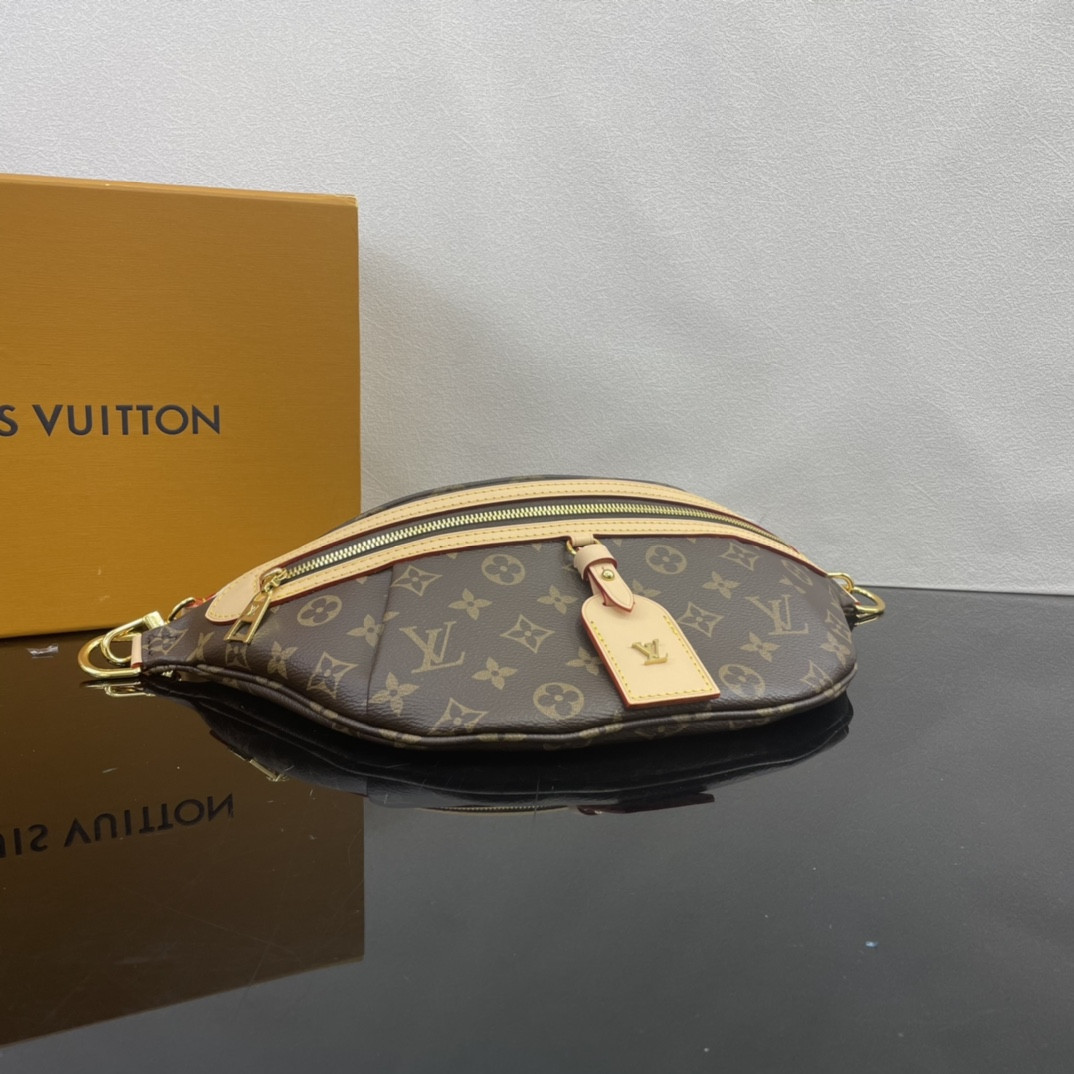 Louis Vuitton Bumbag Bag