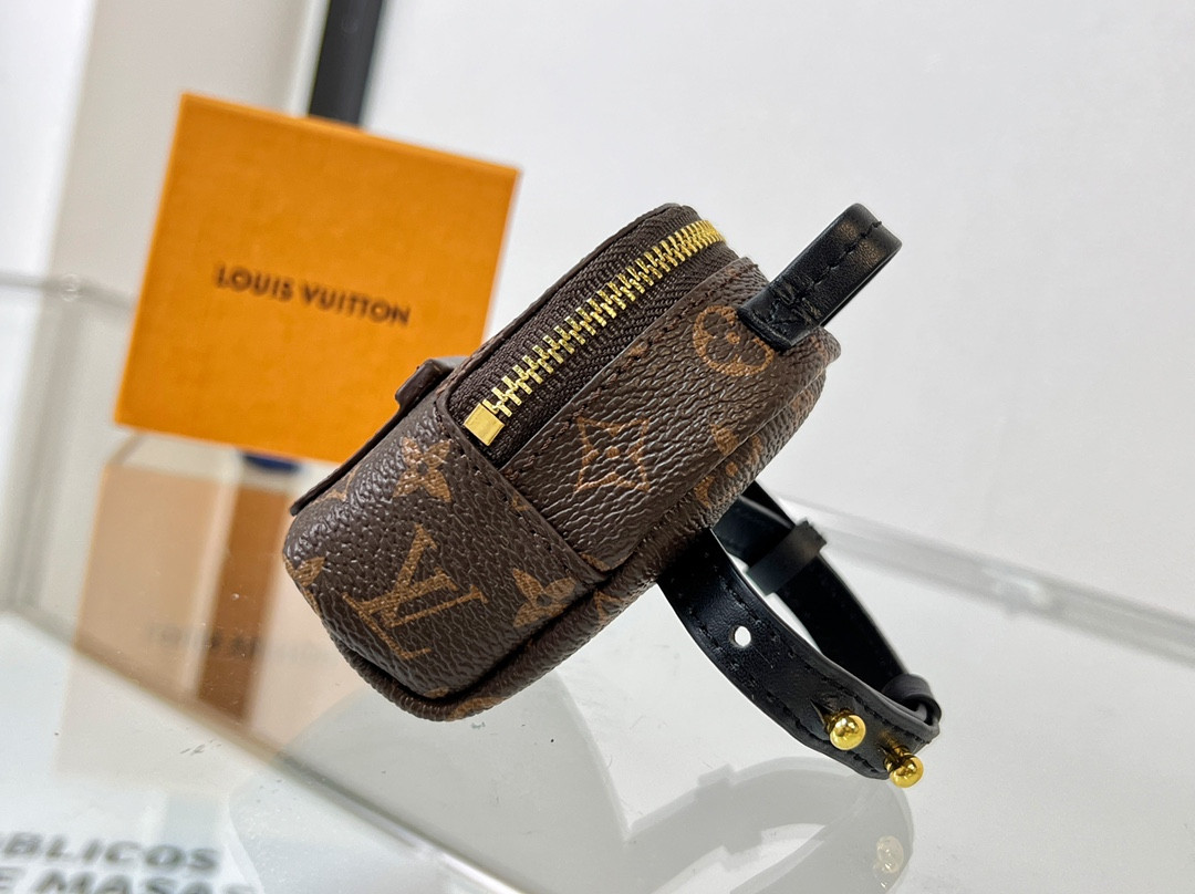 Louis Vuitton Palm Springs Bag