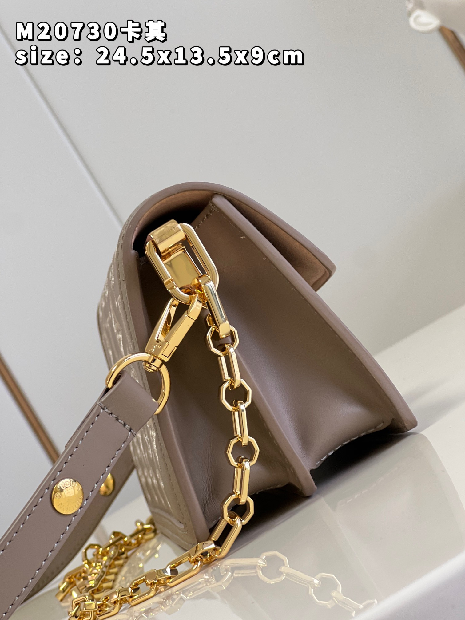 Louis Vuitton Dauphine Bag
