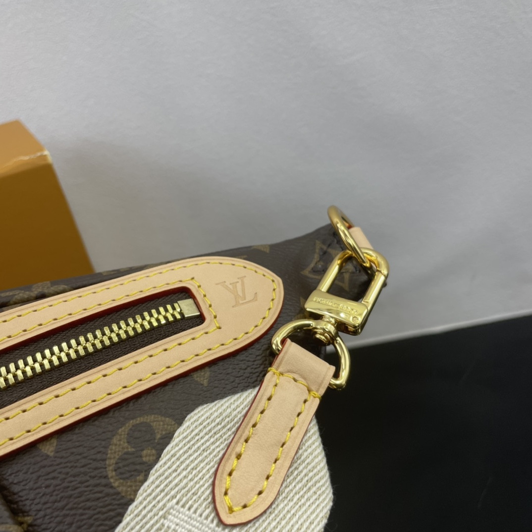Louis Vuitton Bumbag Bag