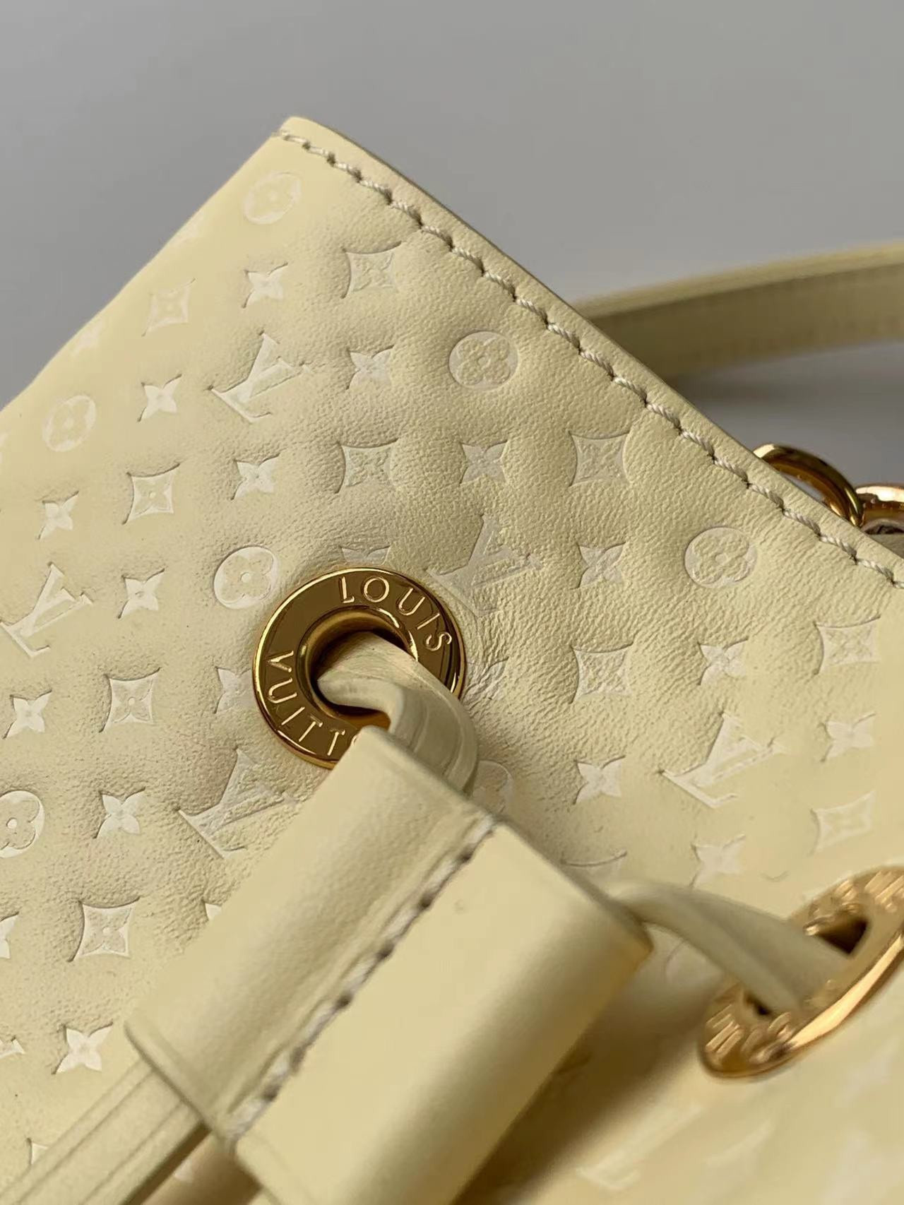 Louis Vuitton Néonoé Bag