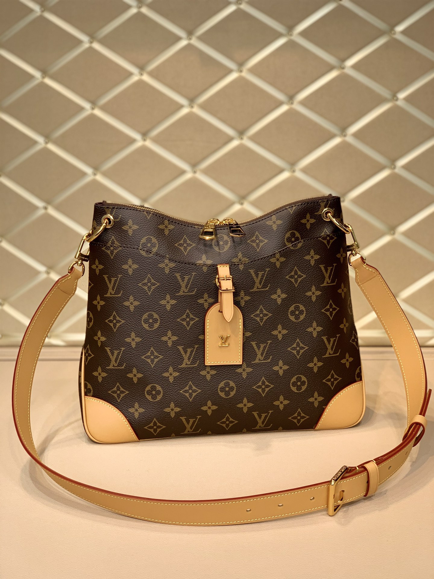 Louis Vuitton Odéon Bag