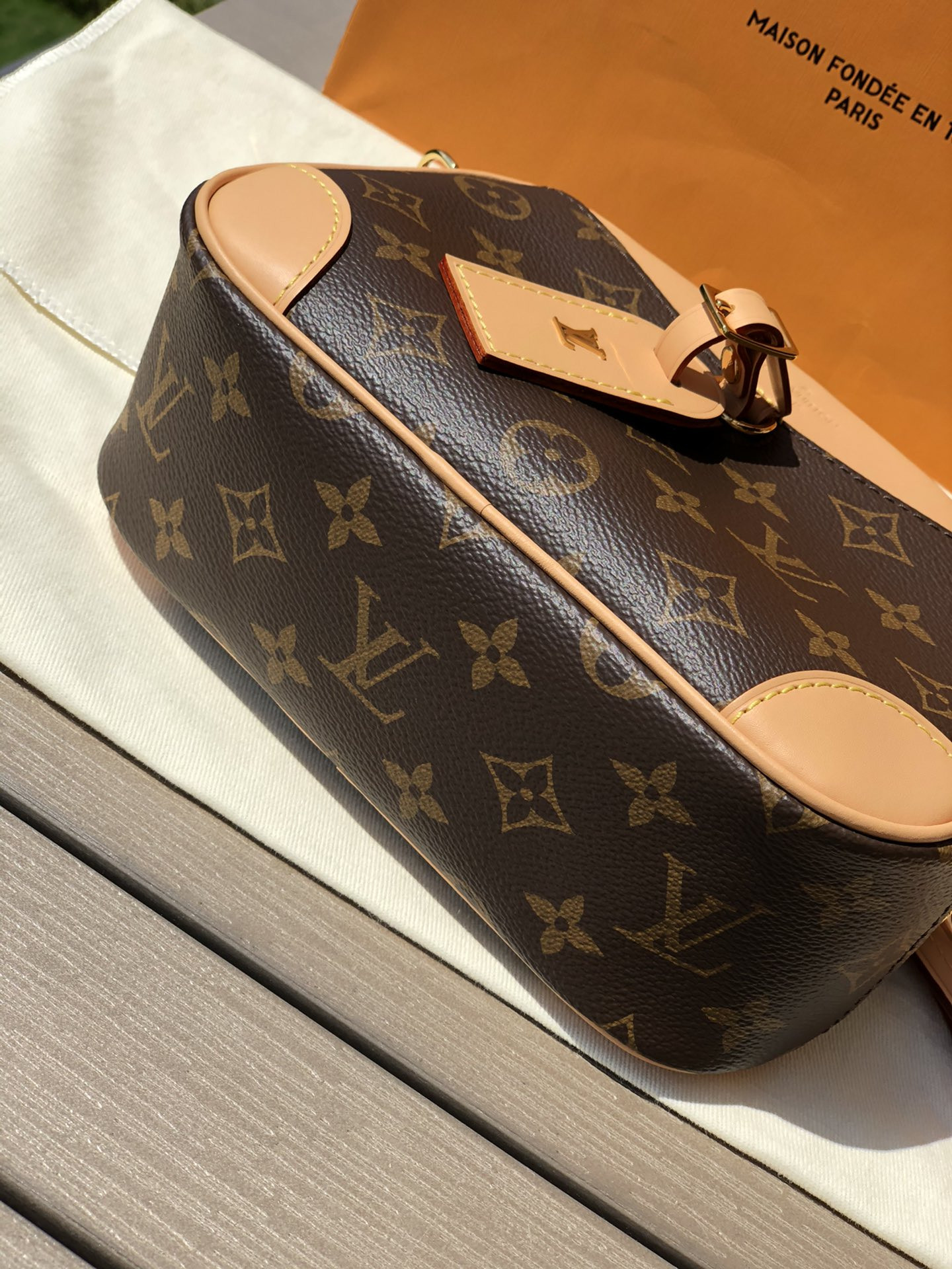 Louis Vuitton Hobo Dauphine Bag