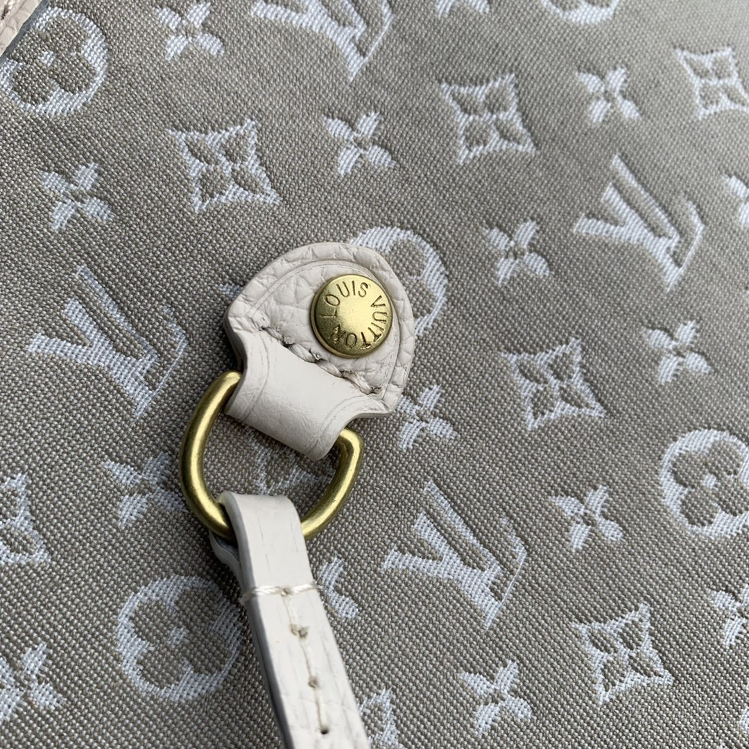 Louis Vuitton Neverfull Bag