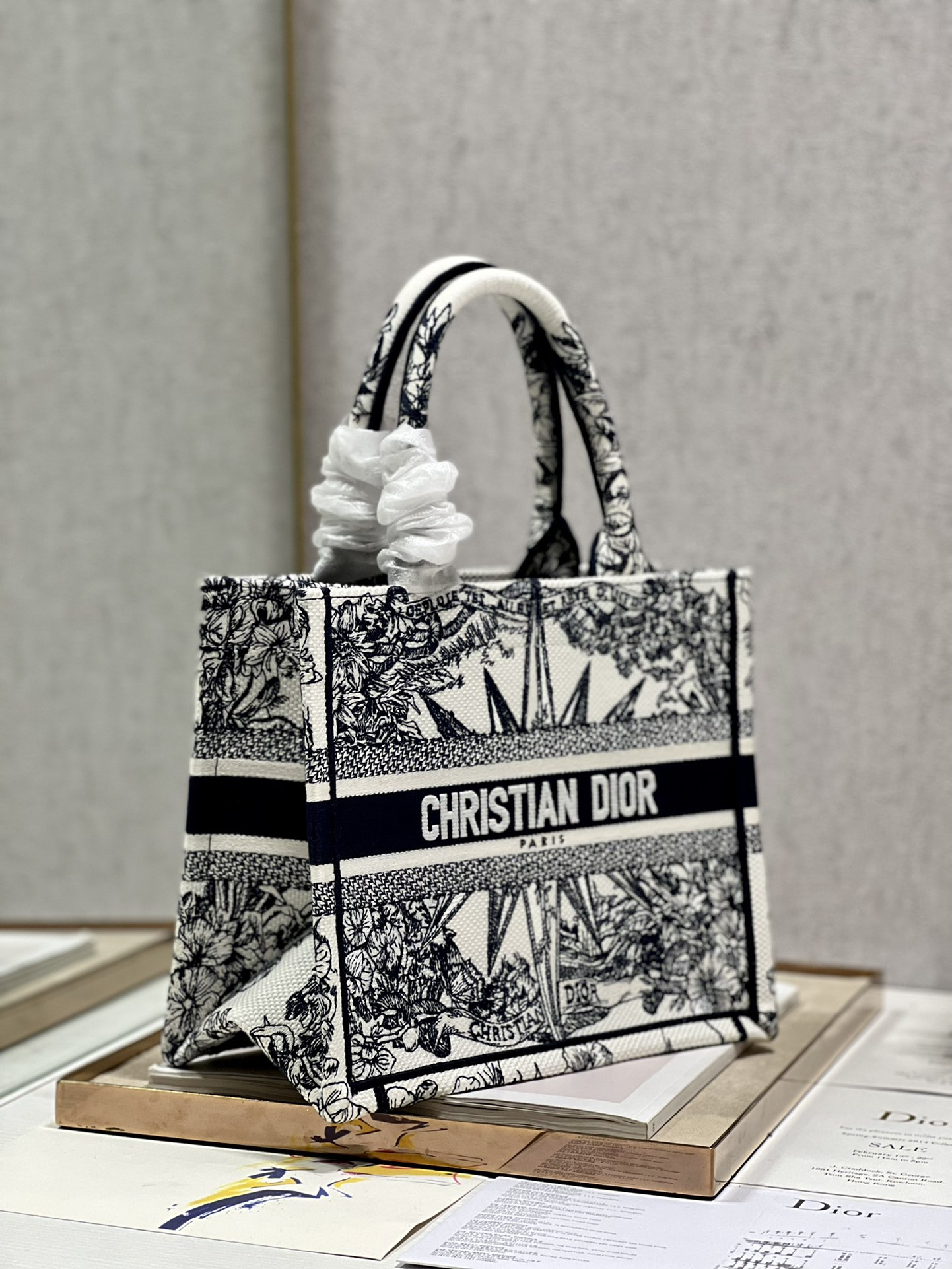 Small Dior Book Tote