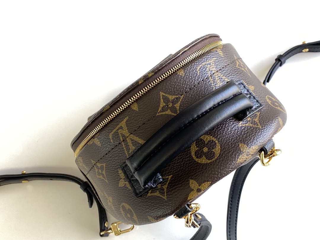 Louis Vuitton Palm Springs Bag
