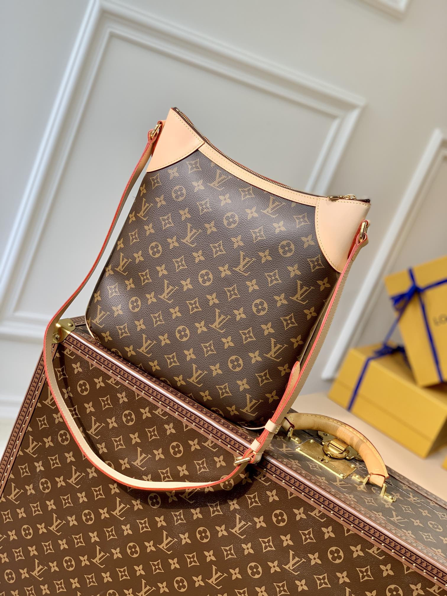 Louis Vuitton Odéon Bag
