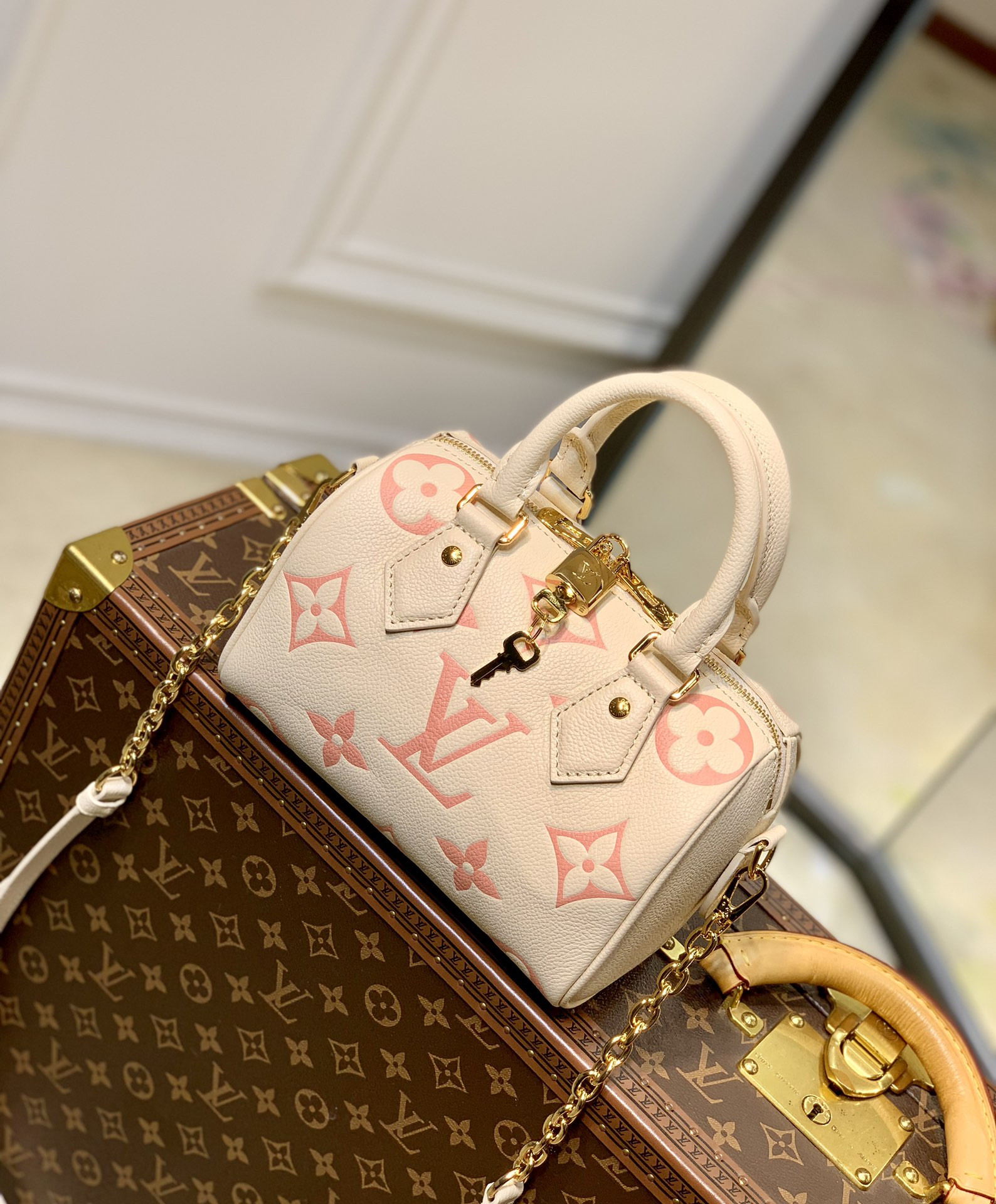 Louis Vuitton Speedy Bandoulière 20 Bag