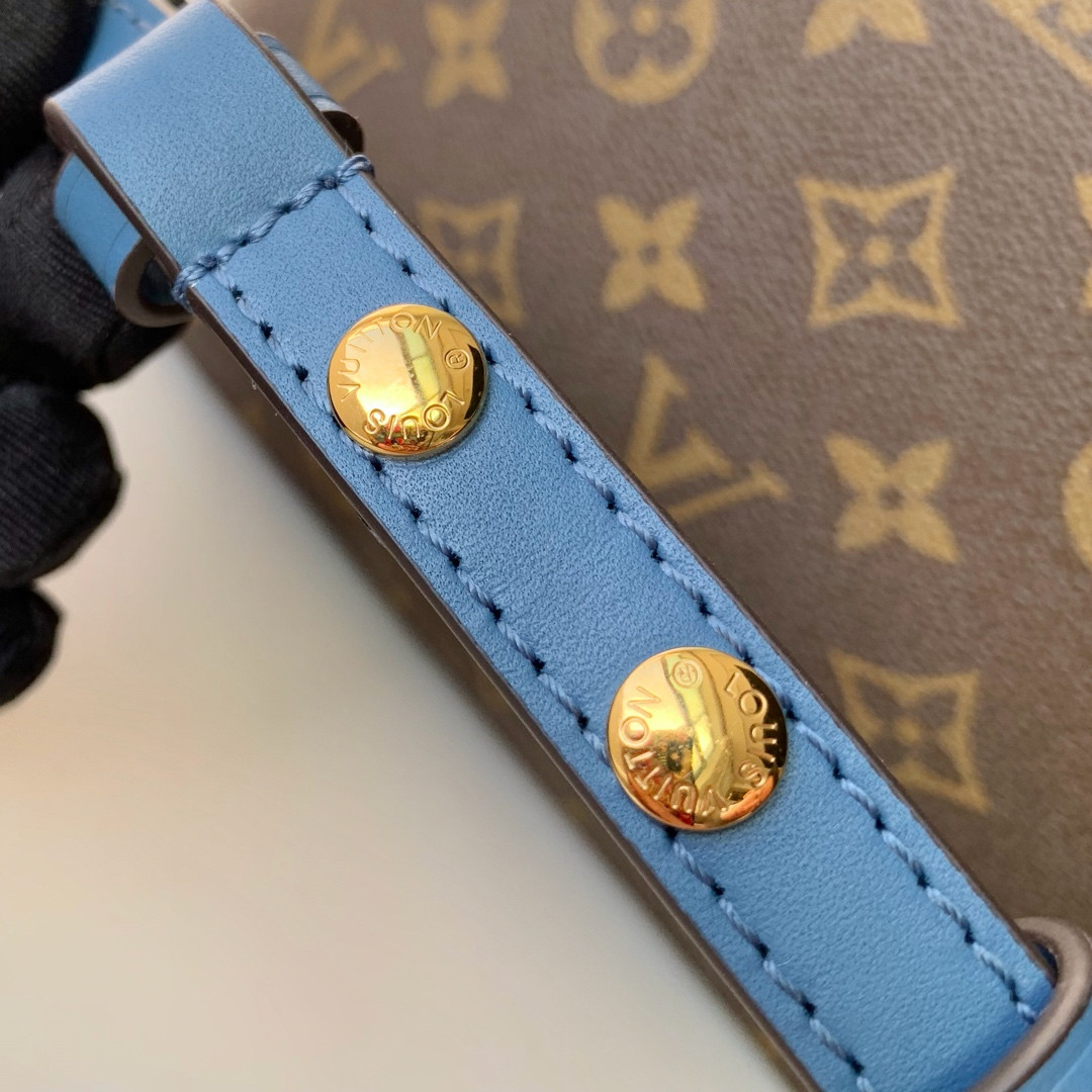 Louis Vuitton Néonoé Bag