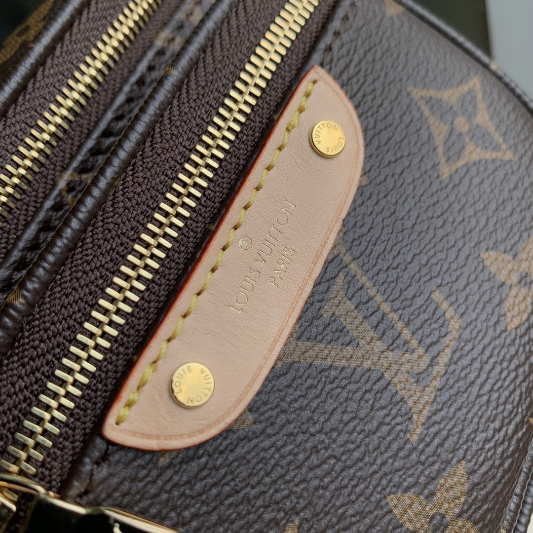 Louis Vuitton Bumbag Bag