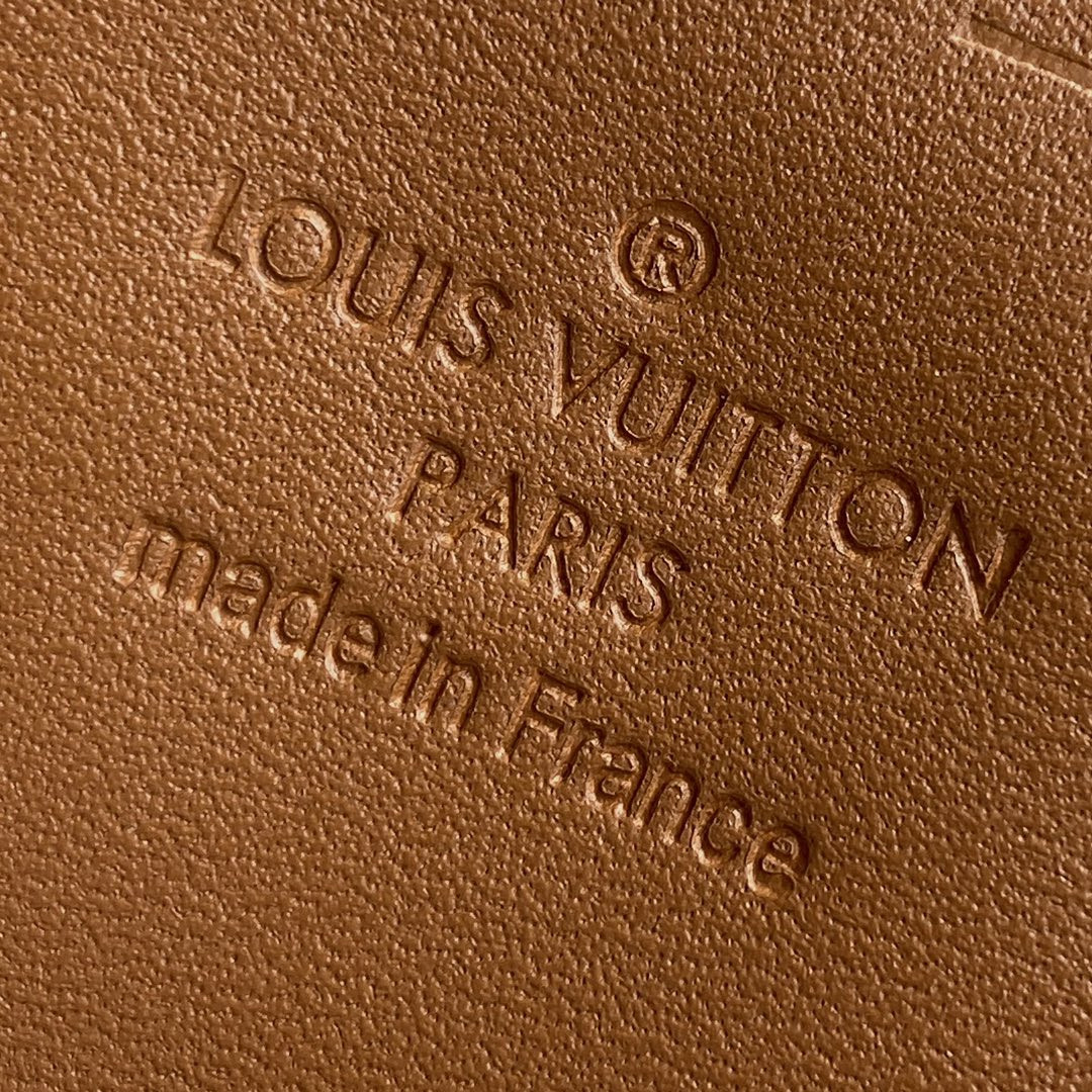 Louis Vuitton Dauphine Bag