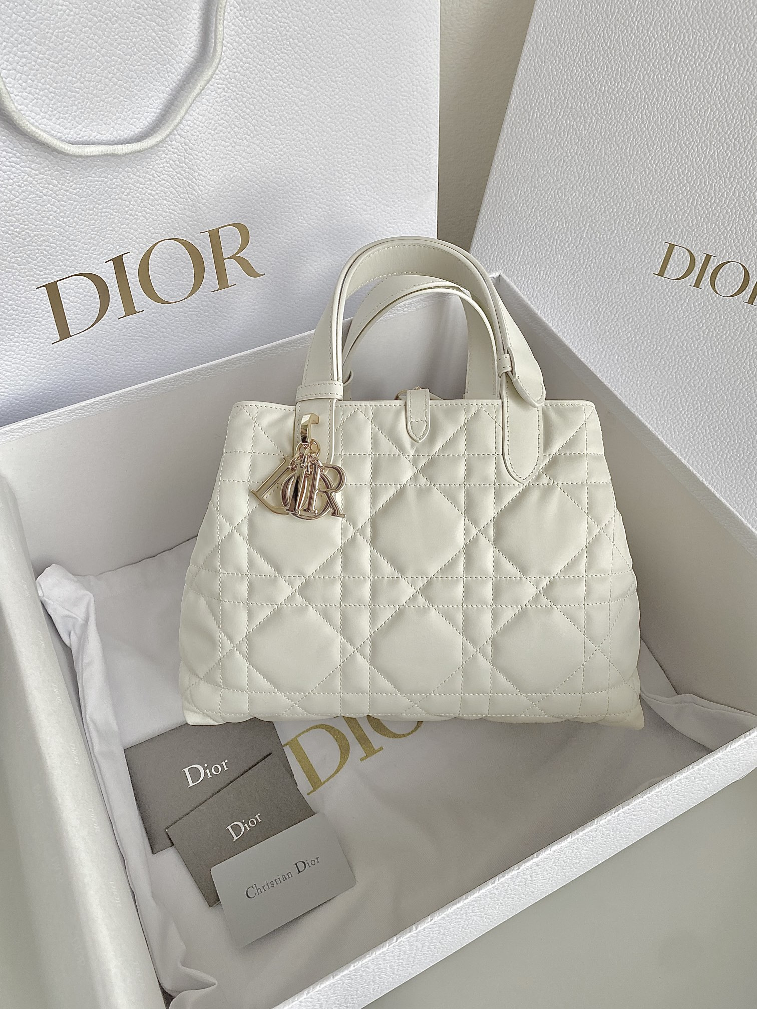 Dior Toujours Bag