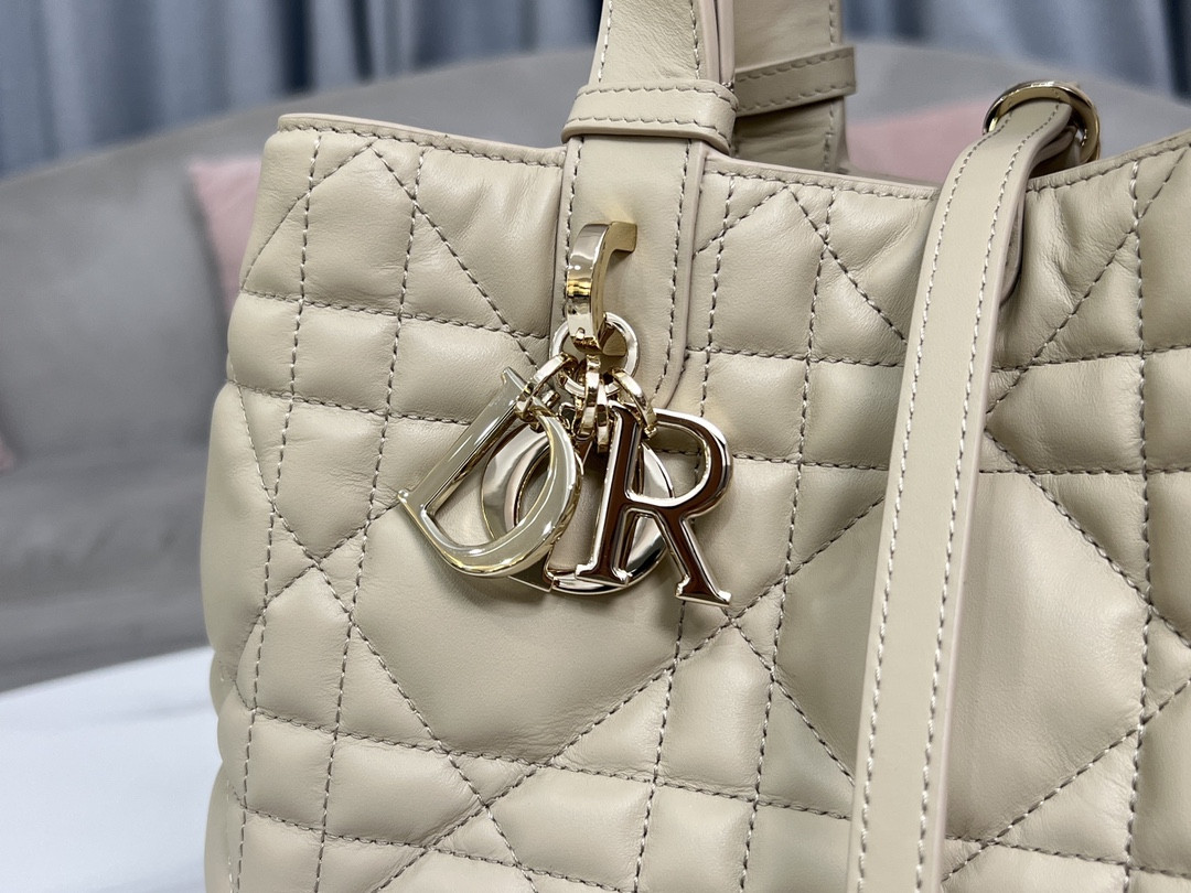 Dior Toujours Bag