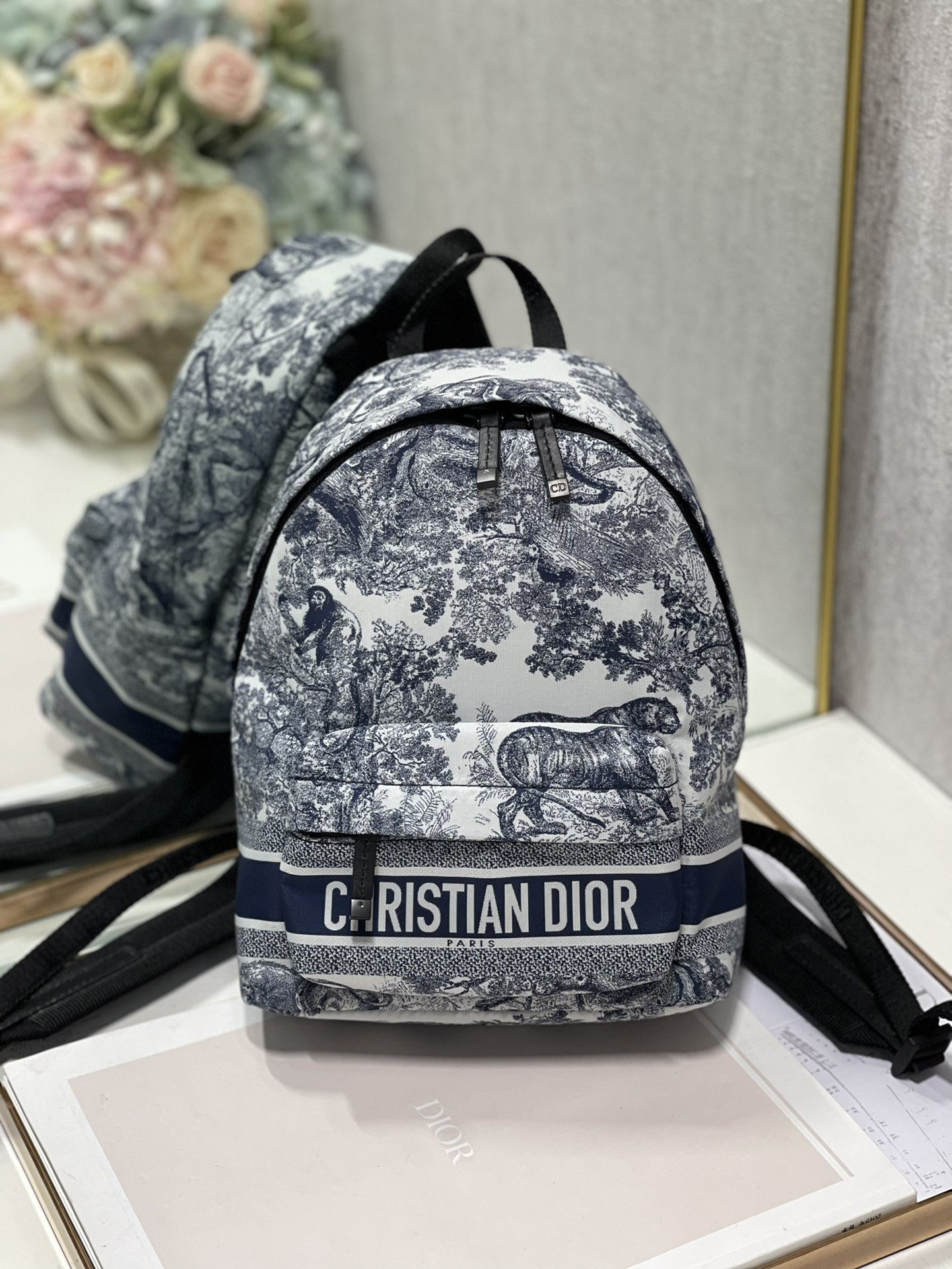 Dior Backpack