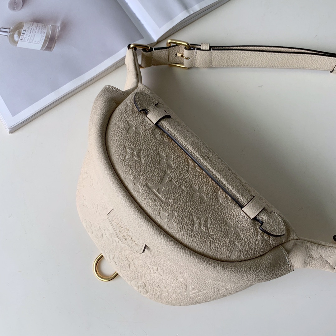 Louis Vuitton Bumbag Bag