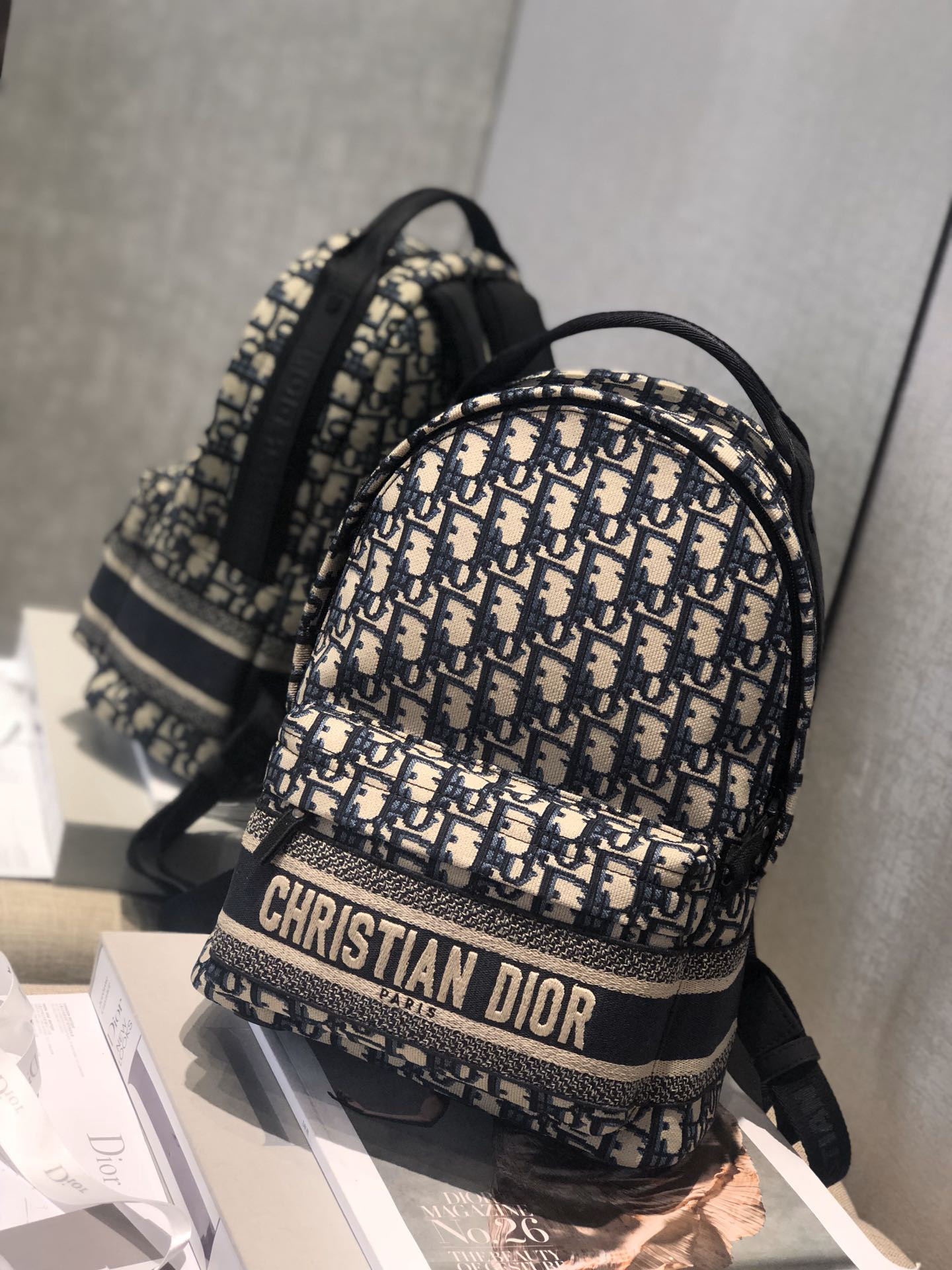 Dior Backpack