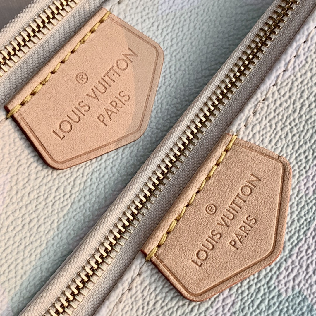 Louis Vuitton Multi Pochette Accessories Bag