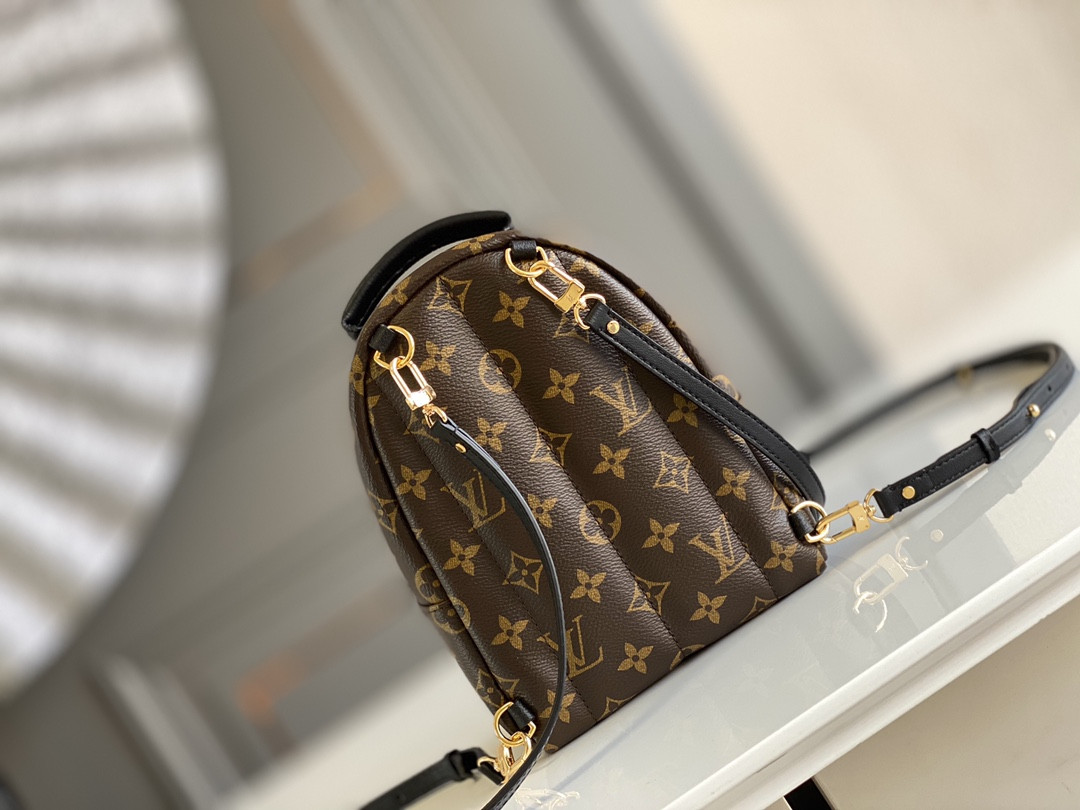 Louis Vuitton Palm Springs Bag