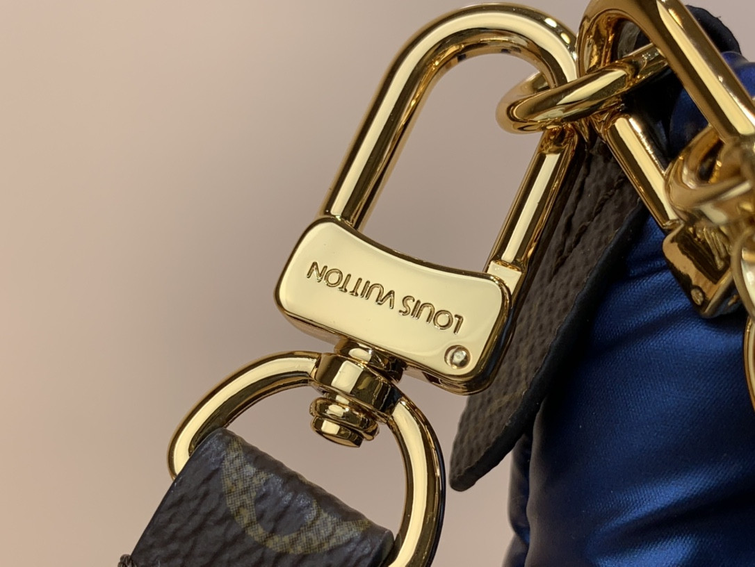 Louis Vuitton Maxi Multi Pochette Accessoires Bag