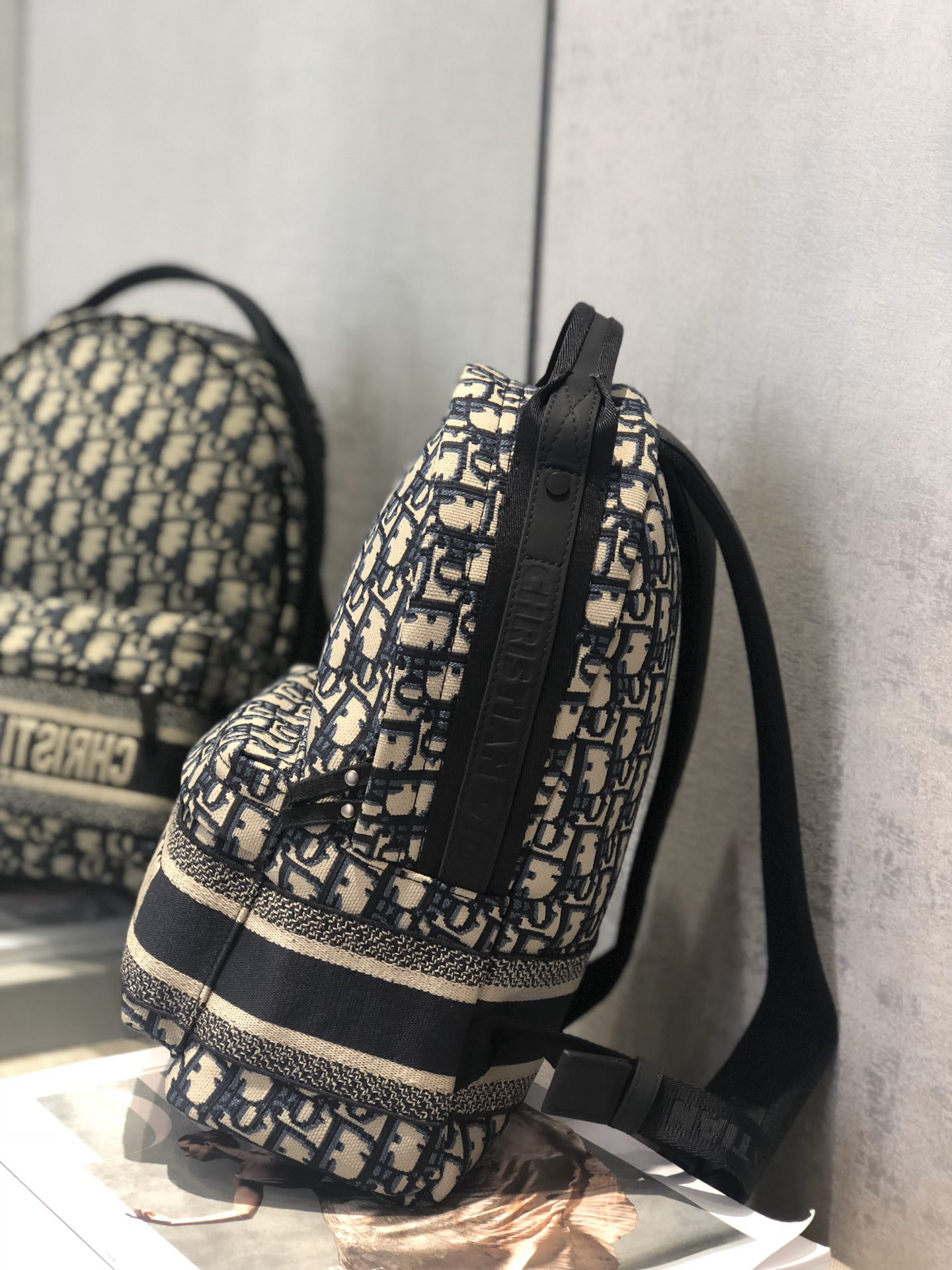 Dior Backpack