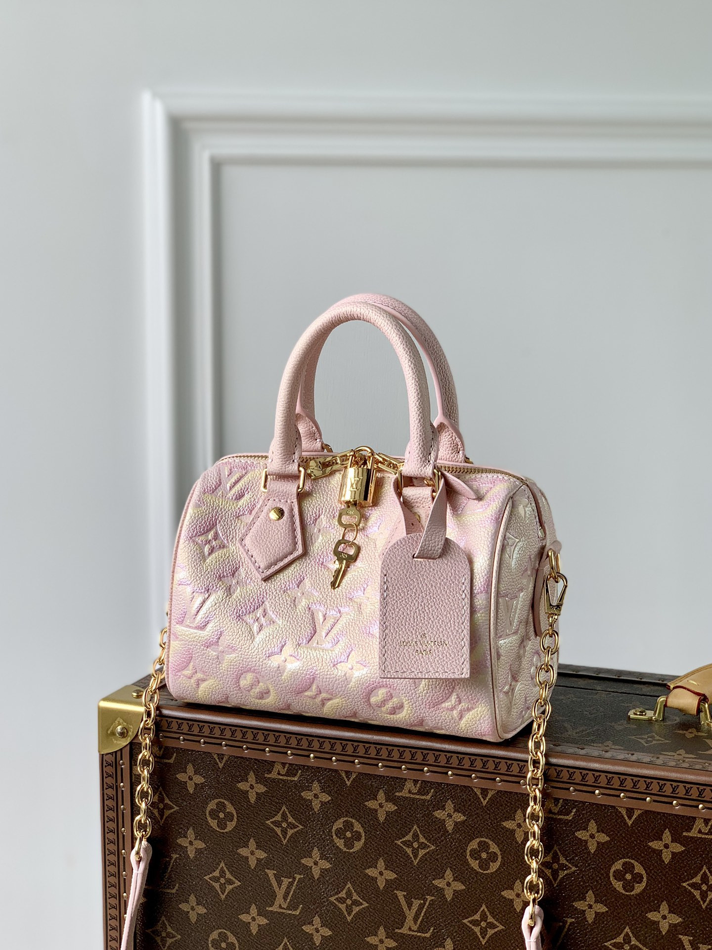 Louis Vuitton Speedy Bandoulière 20 Bag